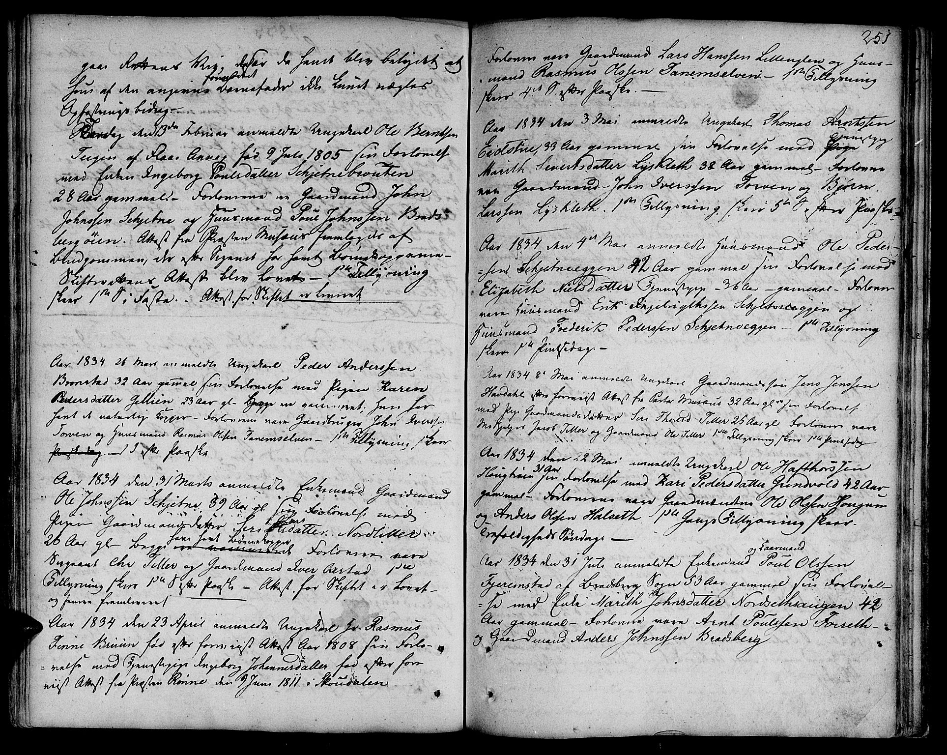 Ministerialprotokoller, klokkerbøker og fødselsregistre - Sør-Trøndelag, AV/SAT-A-1456/618/L0438: Ministerialbok nr. 618A03, 1783-1815, s. 251