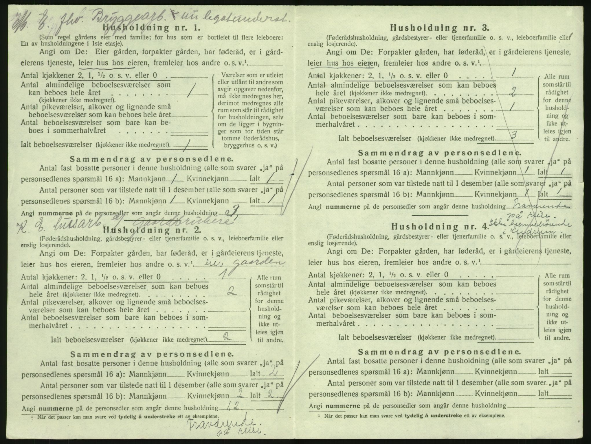 SAKO, Folketelling 1920 for 0727 Hedrum herred, 1920, s. 480