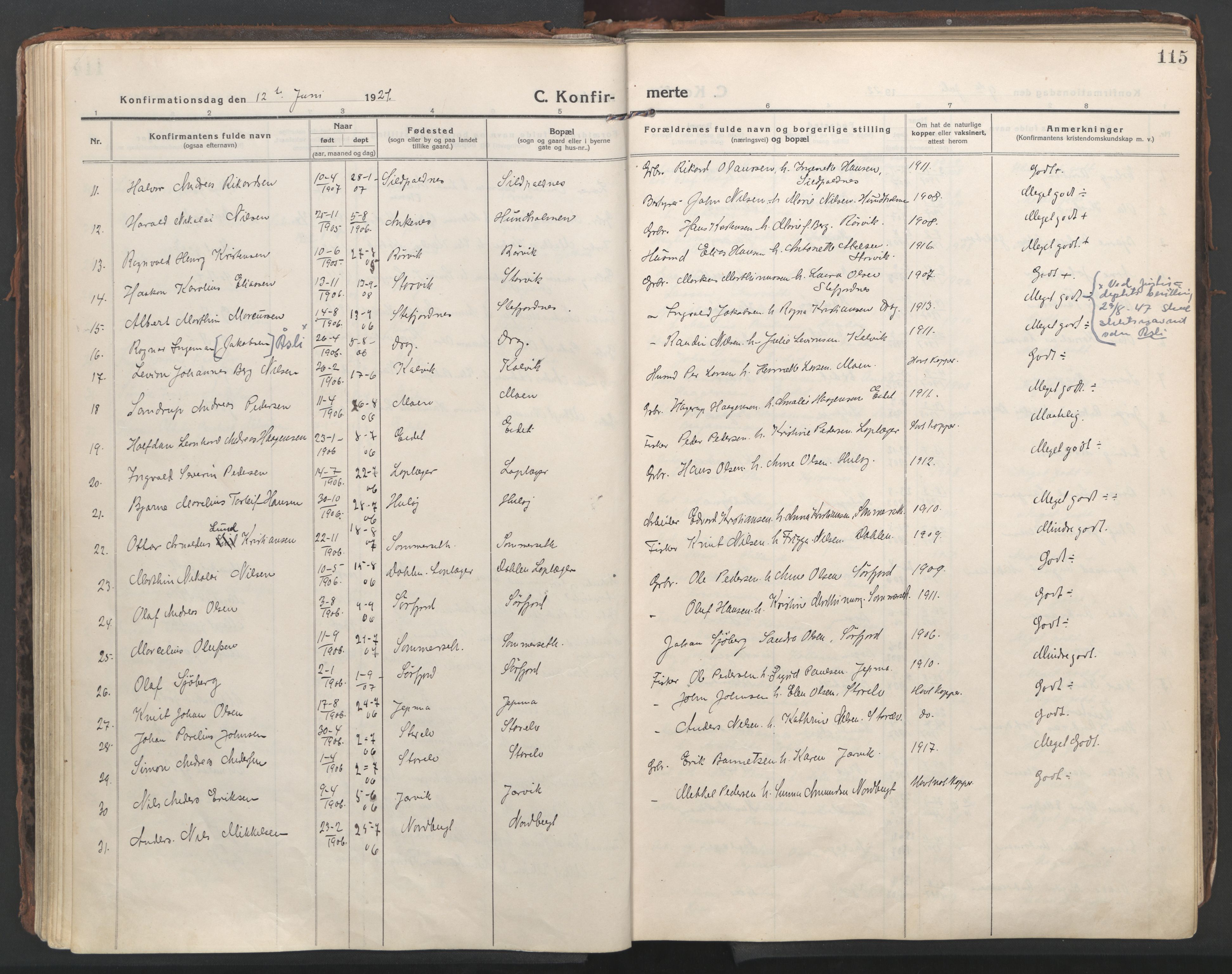 Ministerialprotokoller, klokkerbøker og fødselsregistre - Nordland, AV/SAT-A-1459/861/L0872: Ministerialbok nr. 861A07, 1915-1924, s. 115