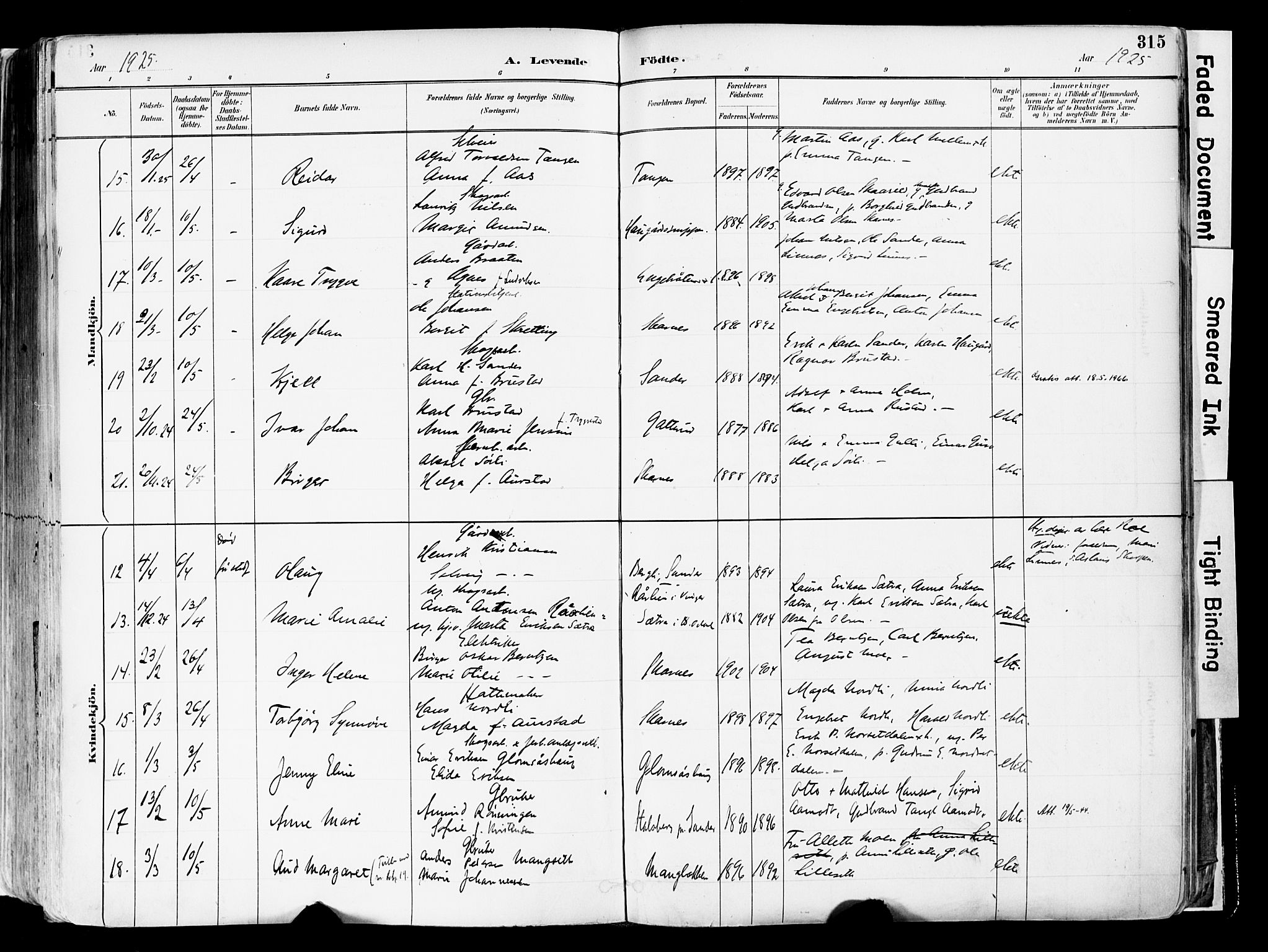 Sør-Odal prestekontor, AV/SAH-PREST-030/H/Ha/Haa/L0006: Ministerialbok nr. 6, 1886-1931, s. 315