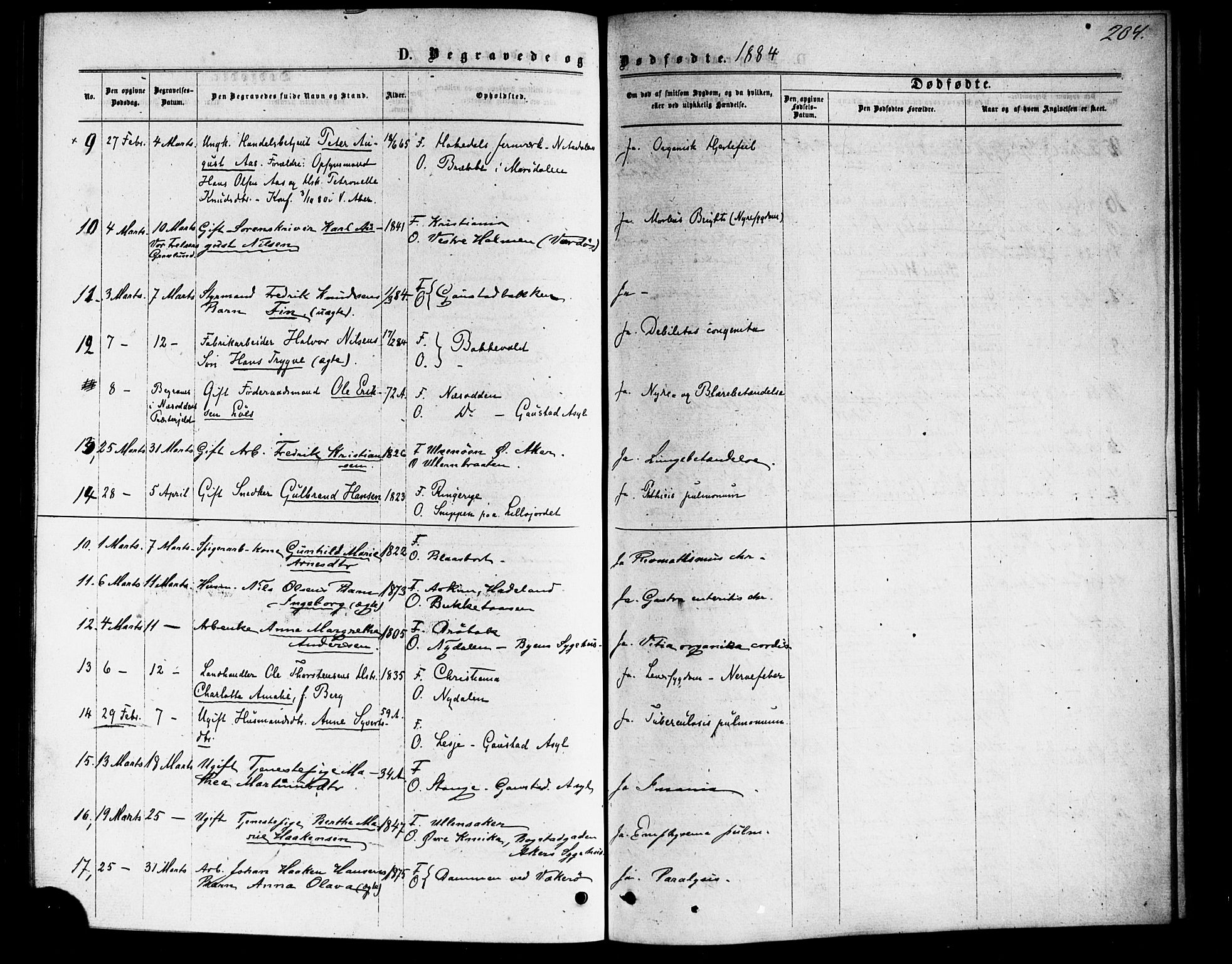 Vestre Aker prestekontor Kirkebøker, AV/SAO-A-10025/F/Fa/L0006: Ministerialbok nr. 6, 1873-1886, s. 204