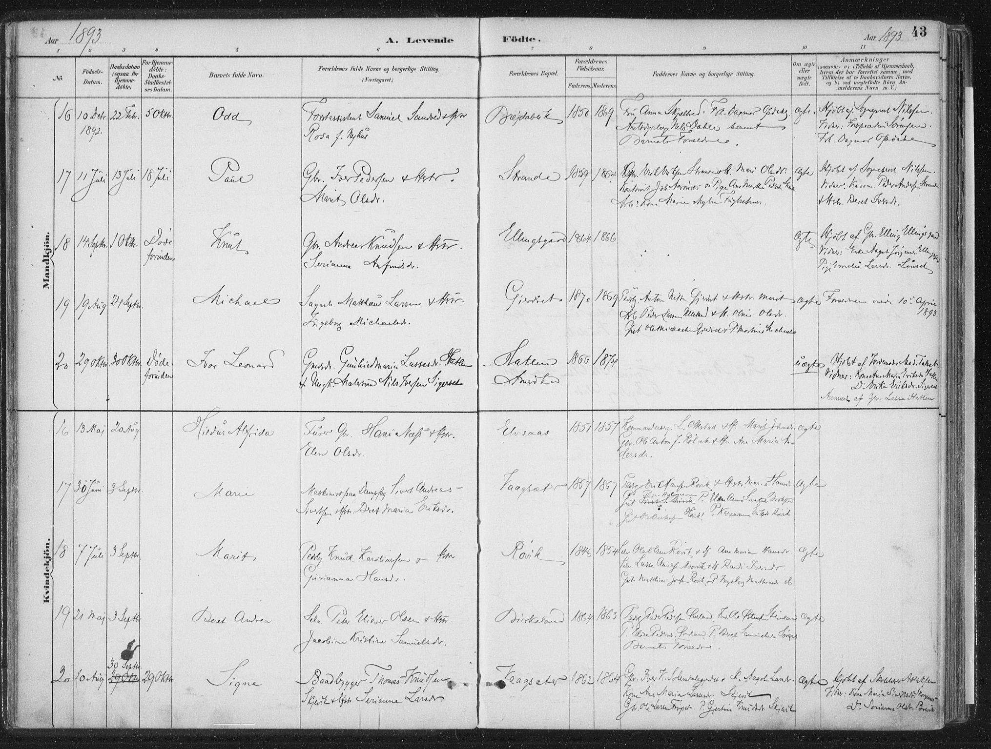 Ministerialprotokoller, klokkerbøker og fødselsregistre - Møre og Romsdal, AV/SAT-A-1454/555/L0658: Ministerialbok nr. 555A09, 1887-1917, s. 43