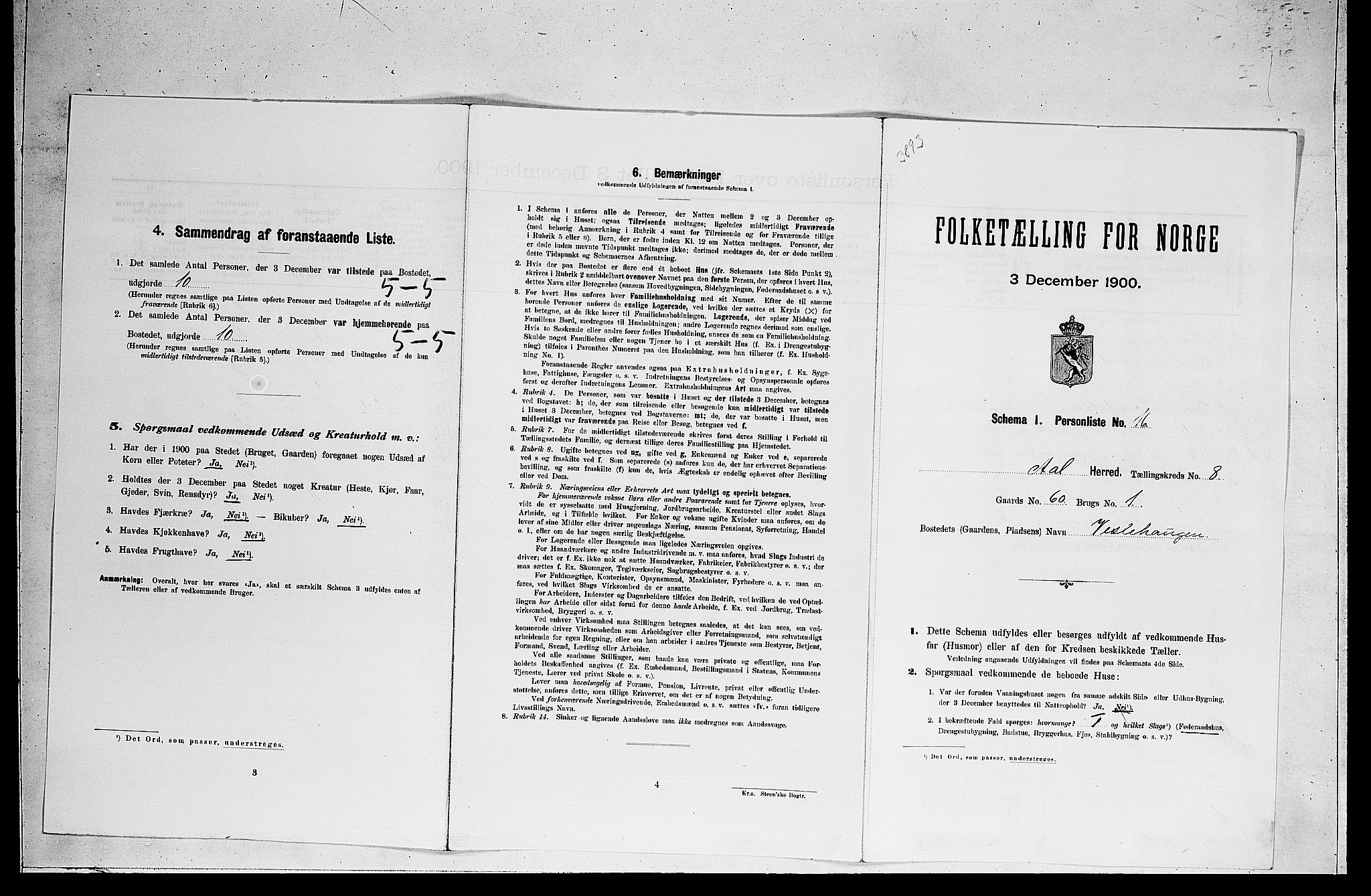 RA, Folketelling 1900 for 0619 Ål herred, 1900, s. 711