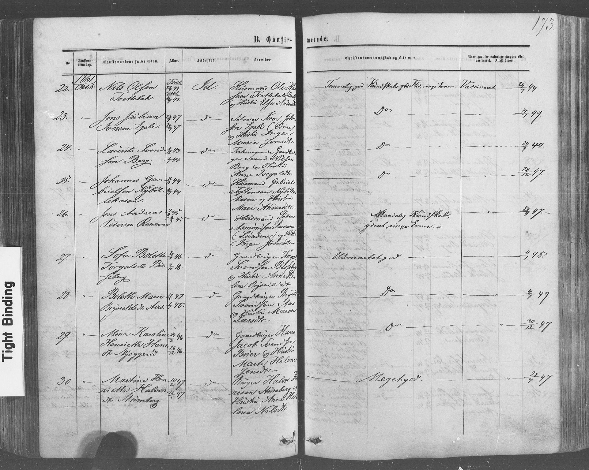 Idd prestekontor Kirkebøker, AV/SAO-A-10911/F/Fc/L0005: Ministerialbok nr. III 5, 1861-1877, s. 173