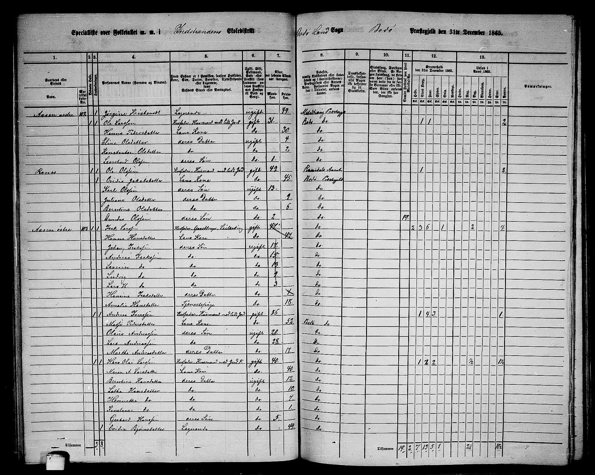 RA, Folketelling 1865 for 1843L Bodø prestegjeld, Bodø landsokn, 1865, s. 61