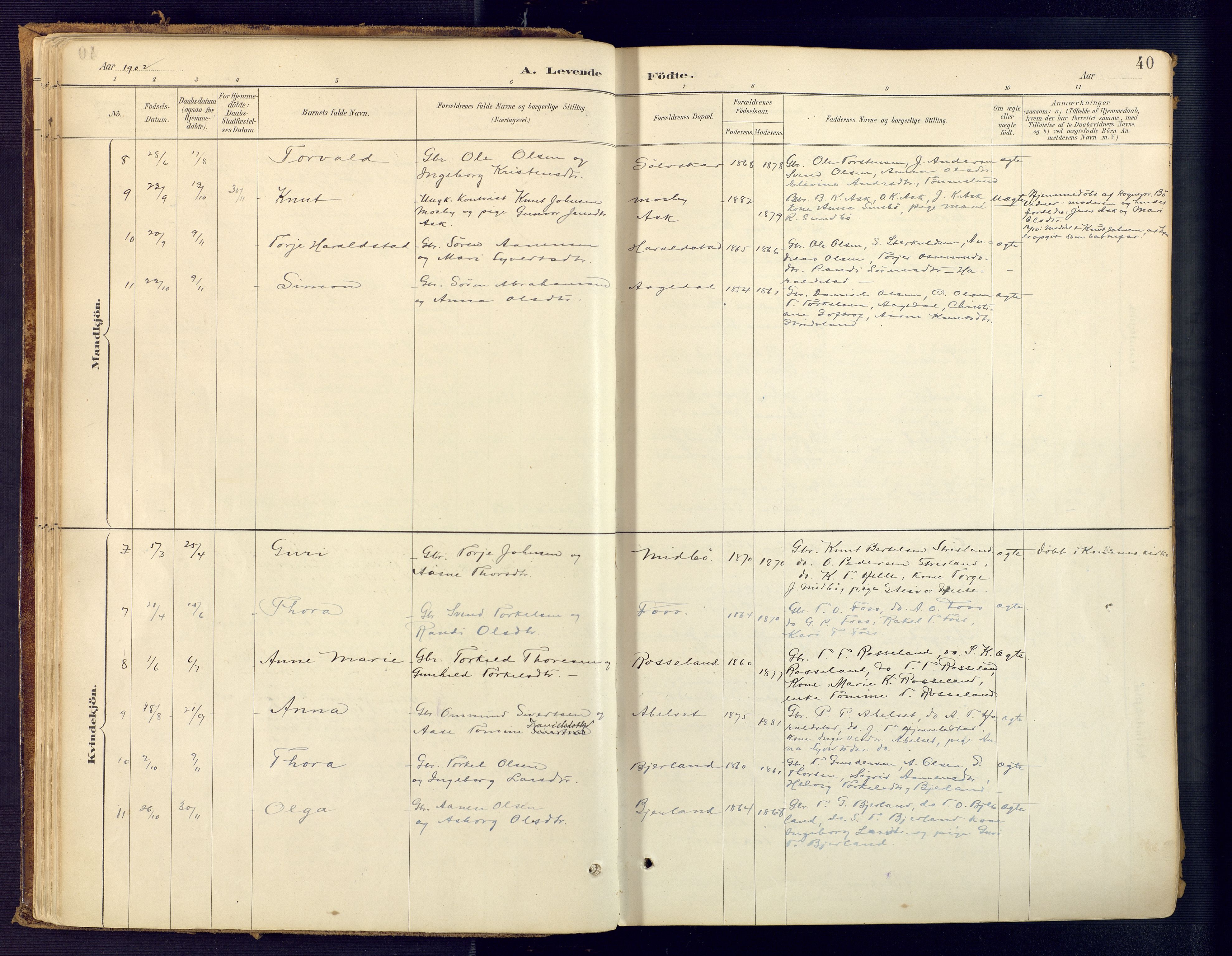 Bjelland sokneprestkontor, SAK/1111-0005/F/Fa/Faa/L0004: Ministerialbok nr. A 4, 1887-1923, s. 40