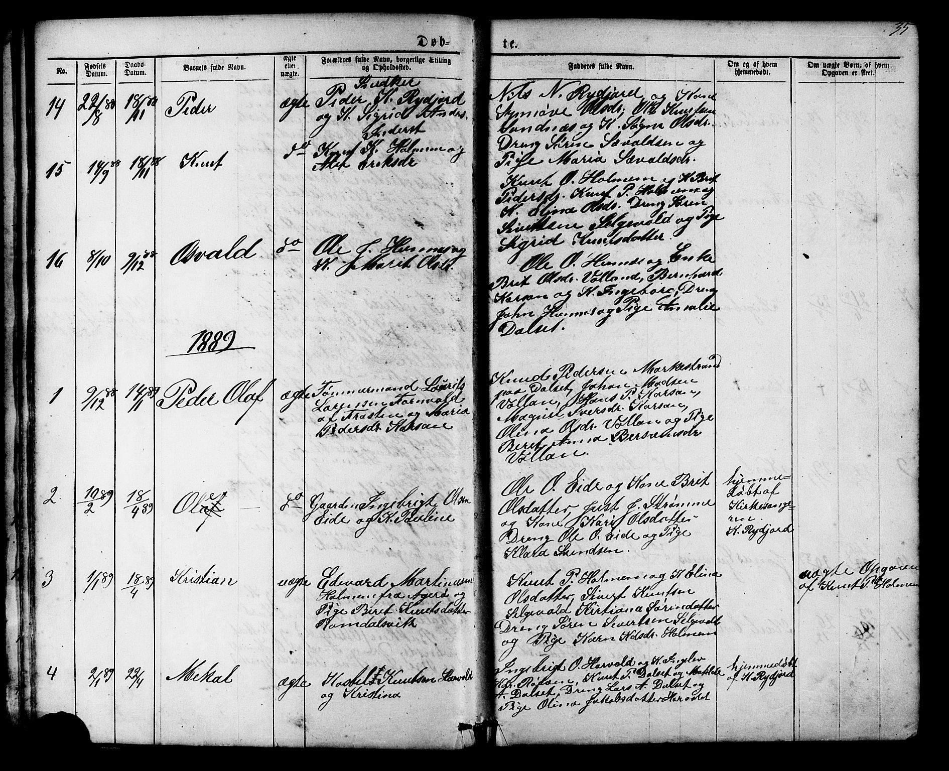 Ministerialprotokoller, klokkerbøker og fødselsregistre - Møre og Romsdal, SAT/A-1454/548/L0614: Klokkerbok nr. 548C02, 1867-1917, s. 35