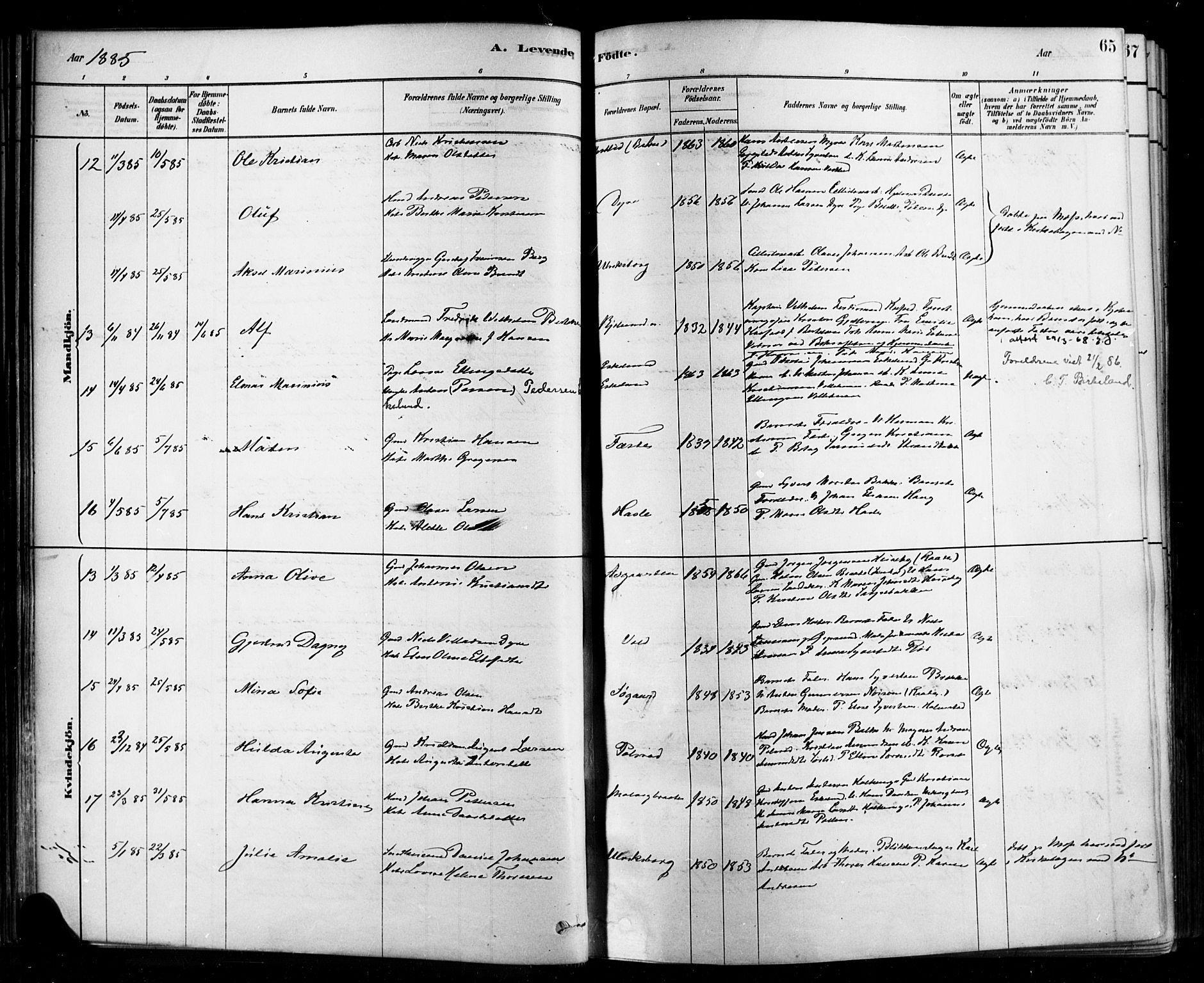 Rygge prestekontor Kirkebøker, AV/SAO-A-10084b/F/Fa/L0007: Ministerialbok nr. 7, 1878-1904, s. 65