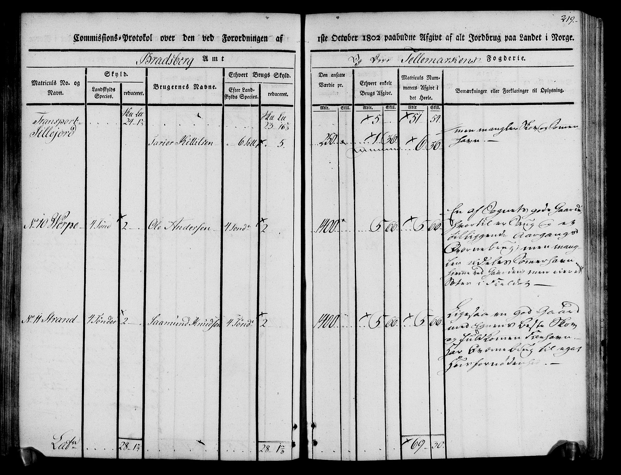 Rentekammeret inntil 1814, Realistisk ordnet avdeling, AV/RA-EA-4070/N/Ne/Nea/L0074: Øvre Telemarken fogderi. Kommisjonsprotokoll for fogderiets østre del - Tinn, Hjartdal og Seljord prestegjeld., 1803, s. 219