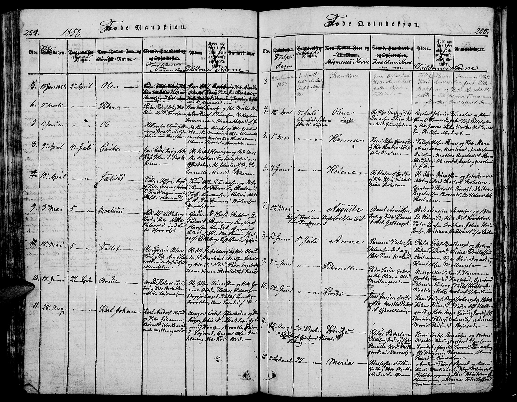 Trysil prestekontor, AV/SAH-PREST-046/H/Ha/Hab/L0005: Klokkerbok nr. 5, 1814-1877, s. 254-255