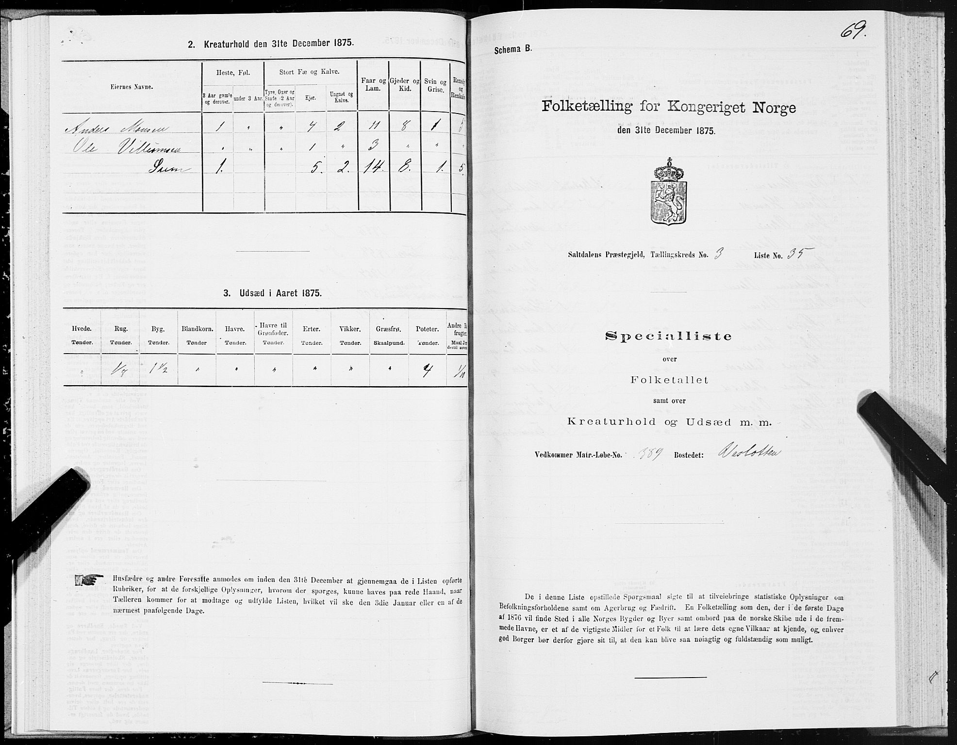 SAT, Folketelling 1875 for 1840P Saltdal prestegjeld, 1875, s. 2069