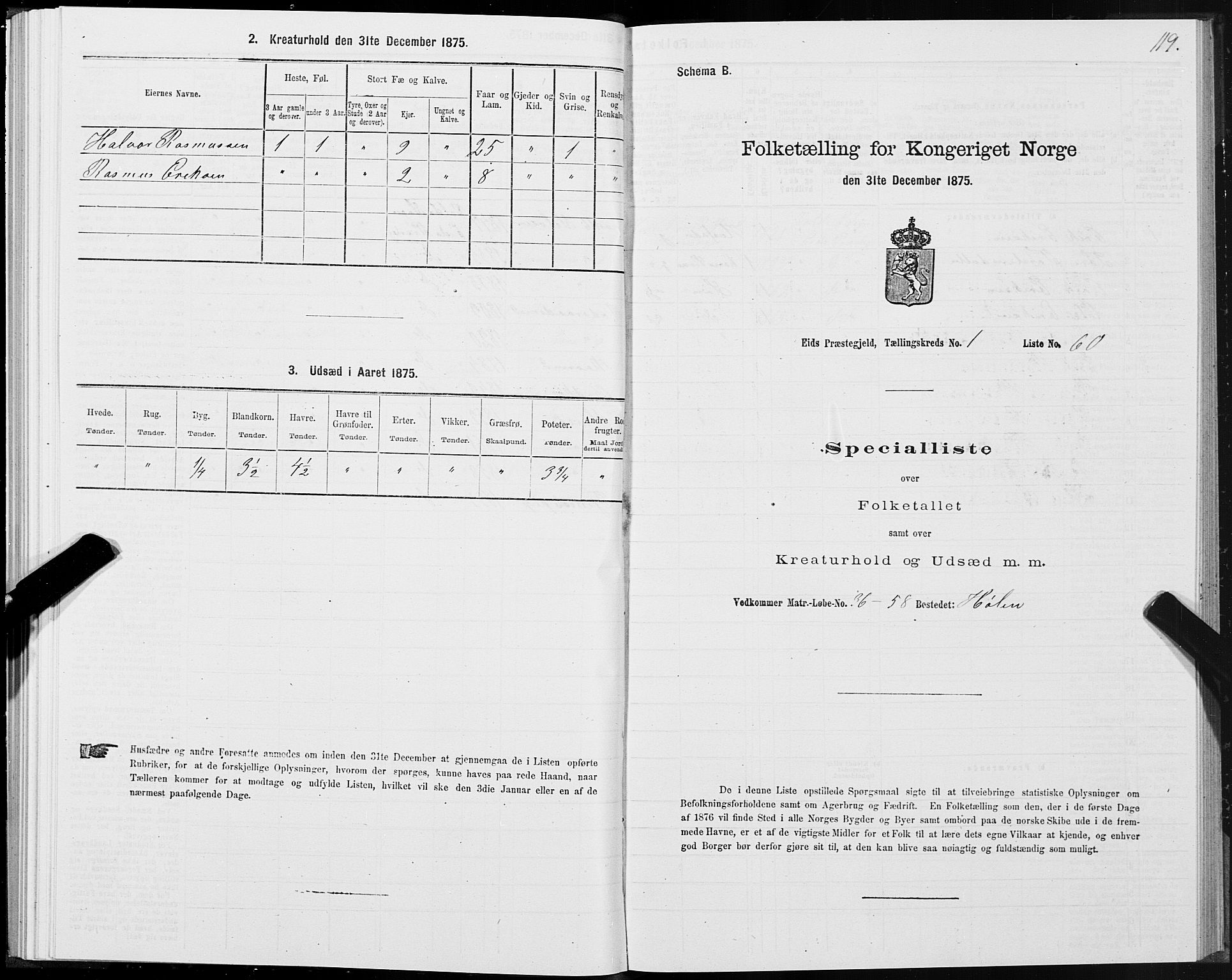 SAT, Folketelling 1875 for 1538P Eid prestegjeld, 1875, s. 1119