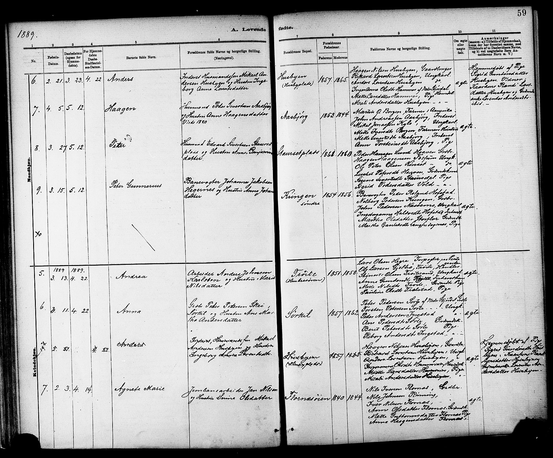 Ministerialprotokoller, klokkerbøker og fødselsregistre - Nord-Trøndelag, AV/SAT-A-1458/703/L0030: Ministerialbok nr. 703A03, 1880-1892, s. 59