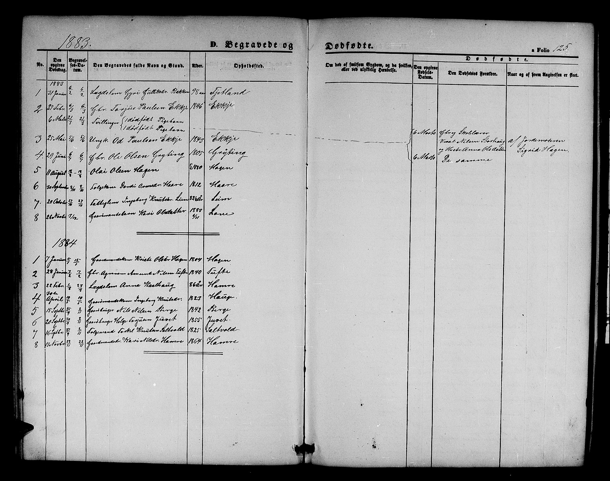 Røldal sokneprestembete, AV/SAB-A-100247: Klokkerbok nr. A 2, 1861-1886, s. 125