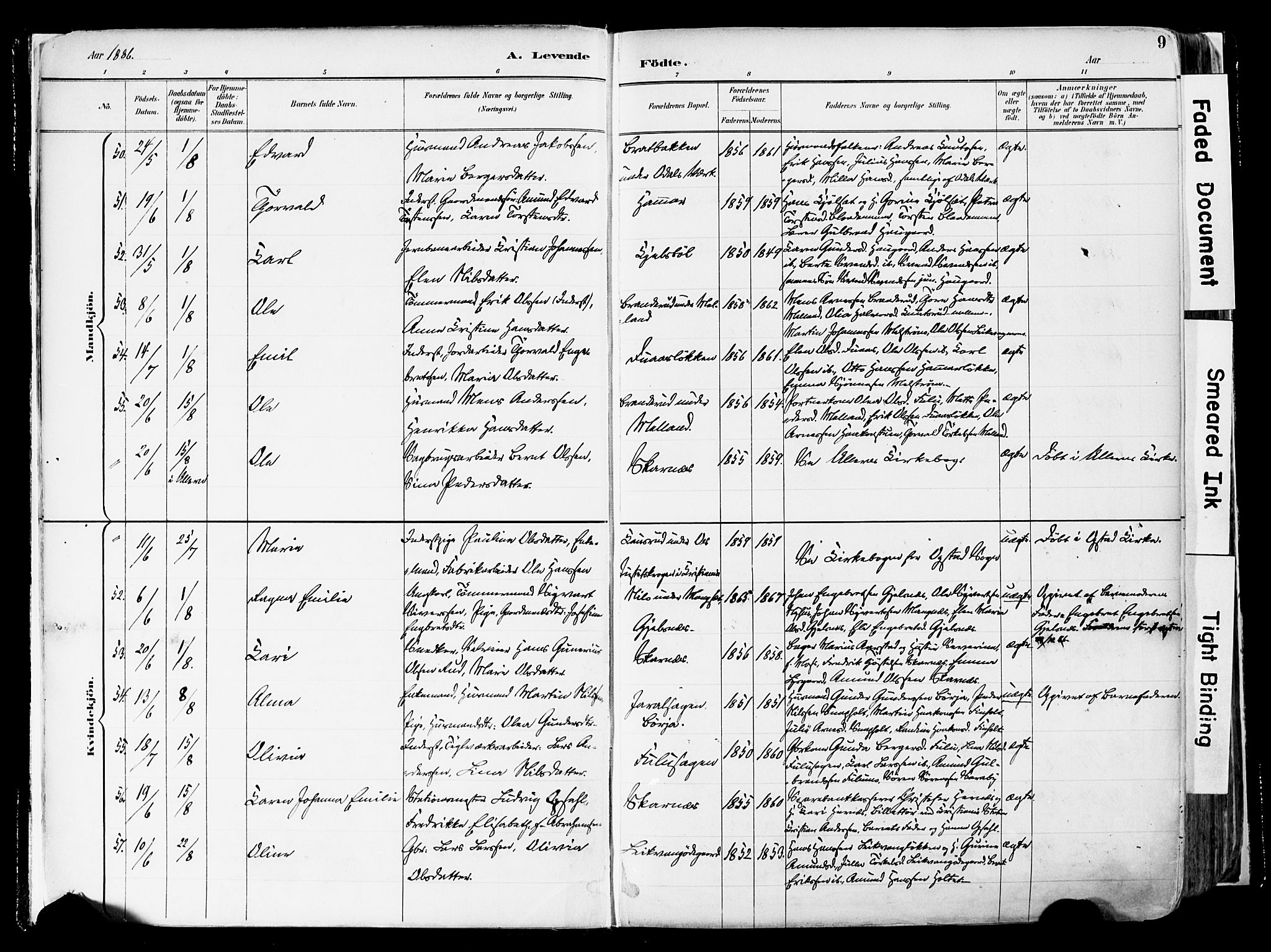 Sør-Odal prestekontor, AV/SAH-PREST-030/H/Ha/Haa/L0006: Ministerialbok nr. 6, 1886-1931, s. 9