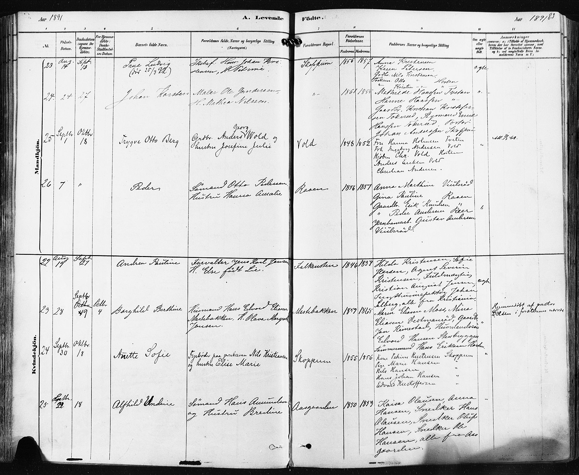 Borre kirkebøker, AV/SAKO-A-338/F/Fa/L0009: Ministerialbok nr. I 9, 1878-1896, s. 83