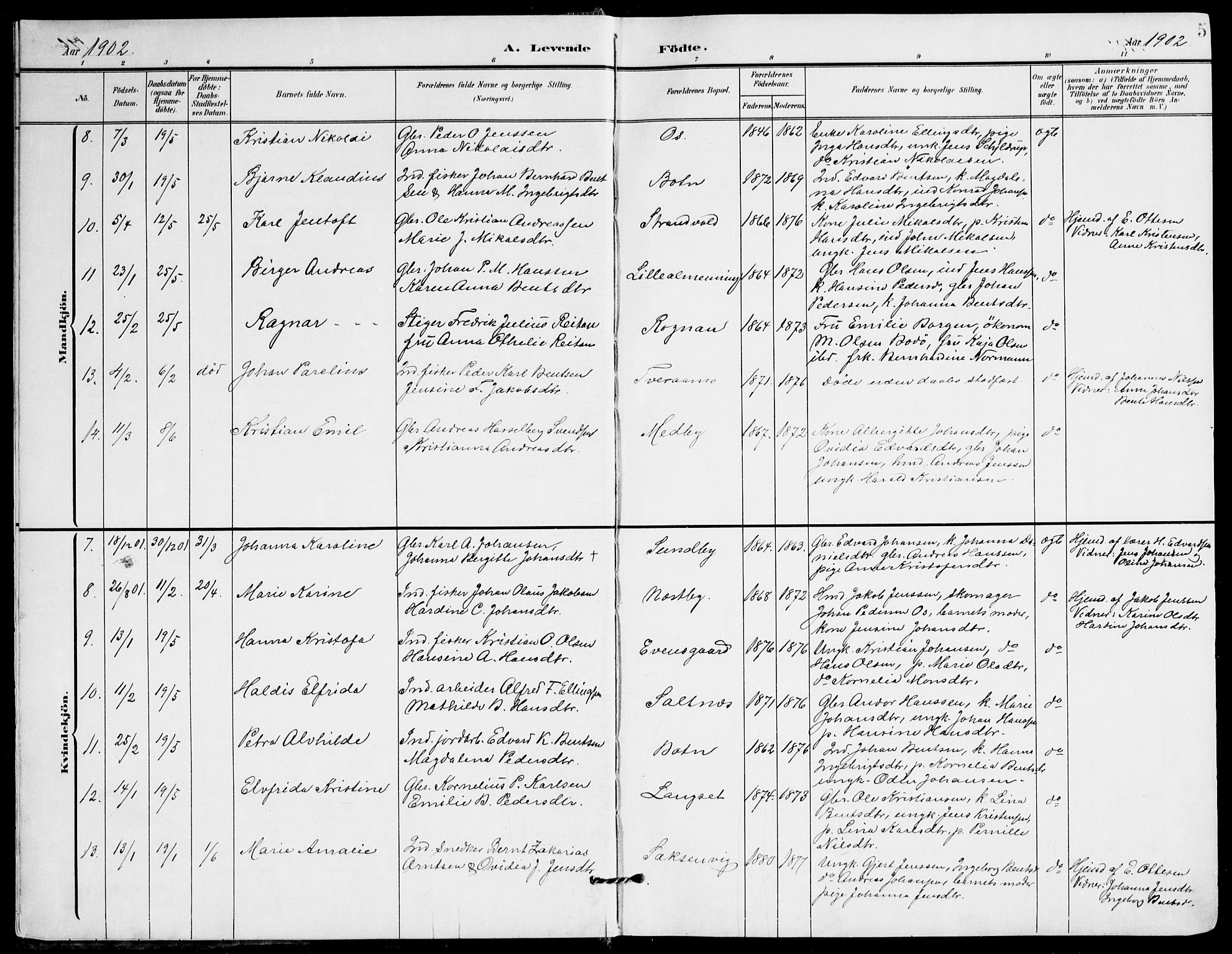 Ministerialprotokoller, klokkerbøker og fødselsregistre - Nordland, AV/SAT-A-1459/847/L0672: Ministerialbok nr. 847A12, 1902-1919, s. 5