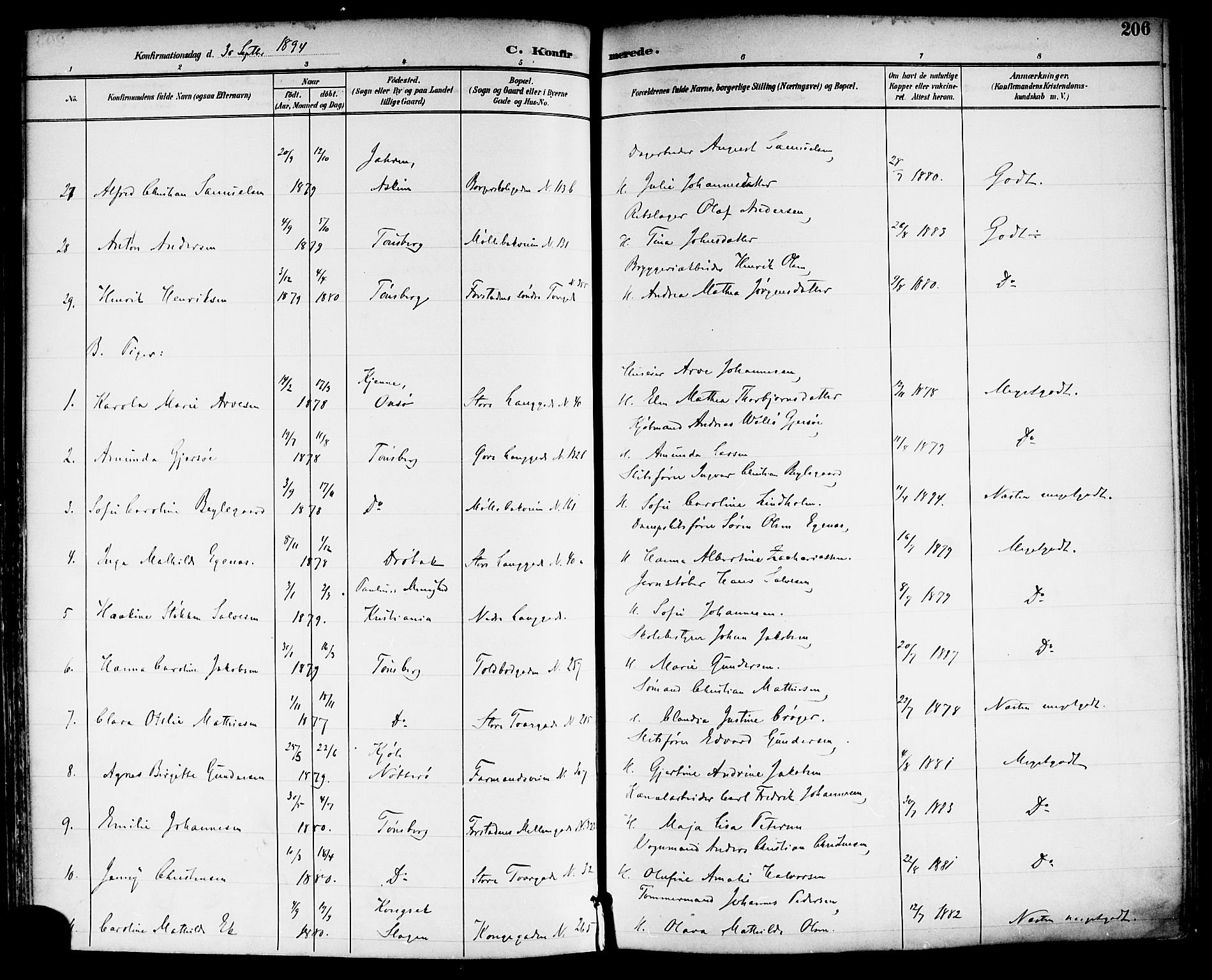 Tønsberg kirkebøker, AV/SAKO-A-330/F/Fa/L0012: Ministerialbok nr. I 12, 1891-1899, s. 206