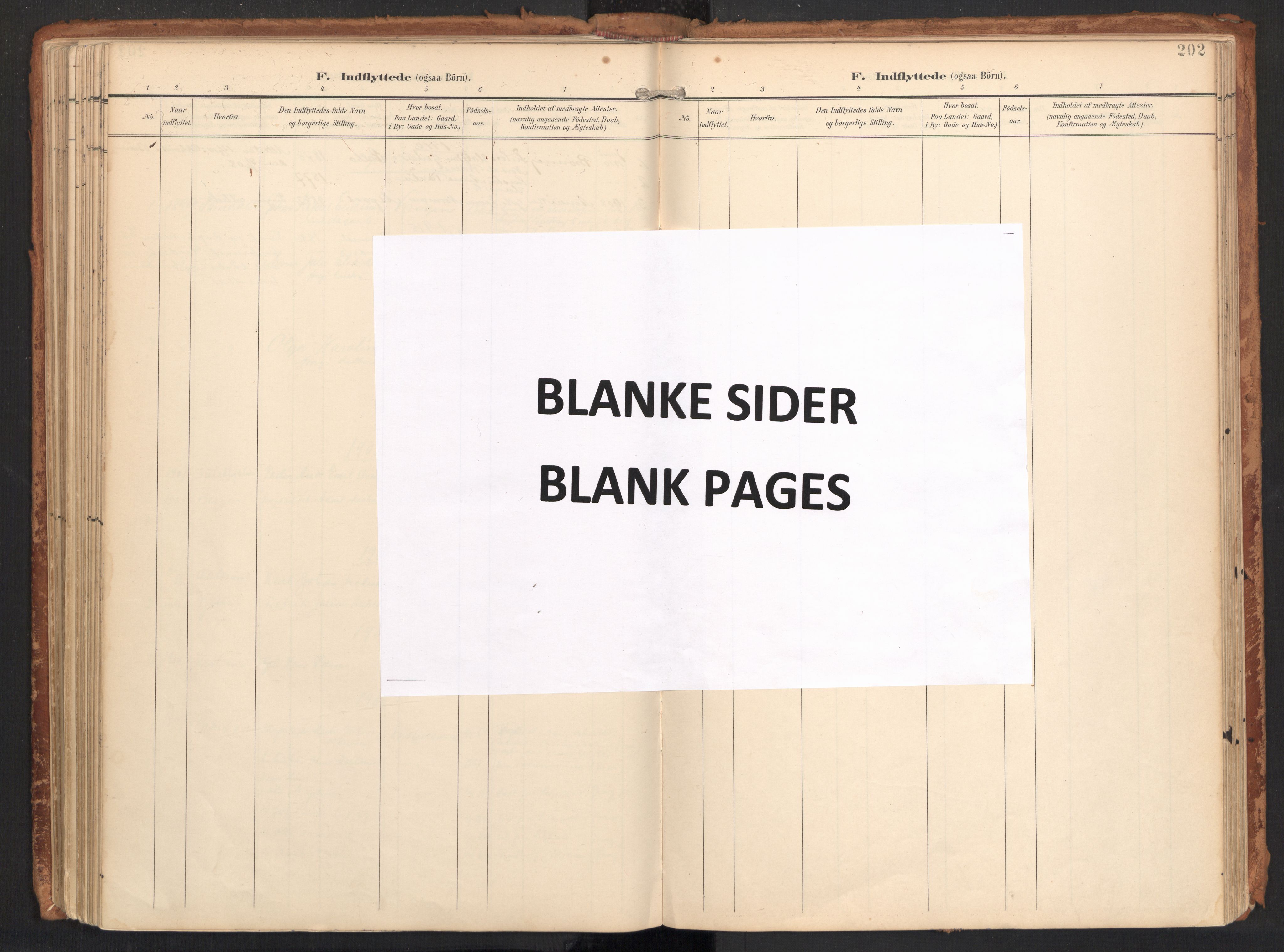 Ministerialprotokoller, klokkerbøker og fødselsregistre - Nordland, AV/SAT-A-1459/814/L0227: Ministerialbok nr. 814A08, 1899-1920, s. 202