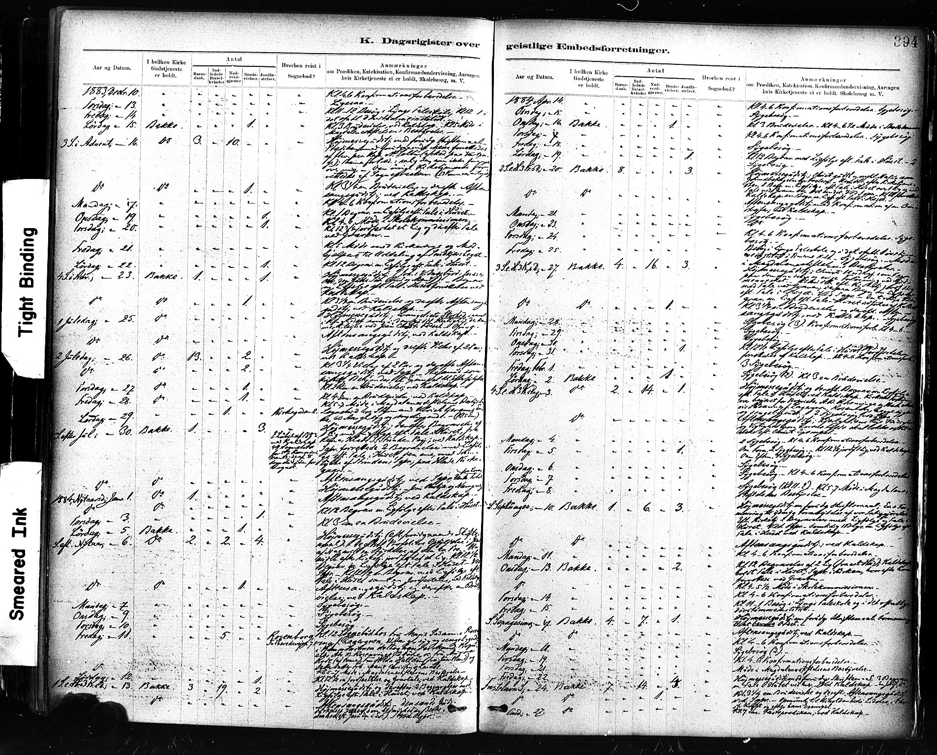 Ministerialprotokoller, klokkerbøker og fødselsregistre - Sør-Trøndelag, AV/SAT-A-1456/604/L0189: Ministerialbok nr. 604A10, 1878-1892, s. 394
