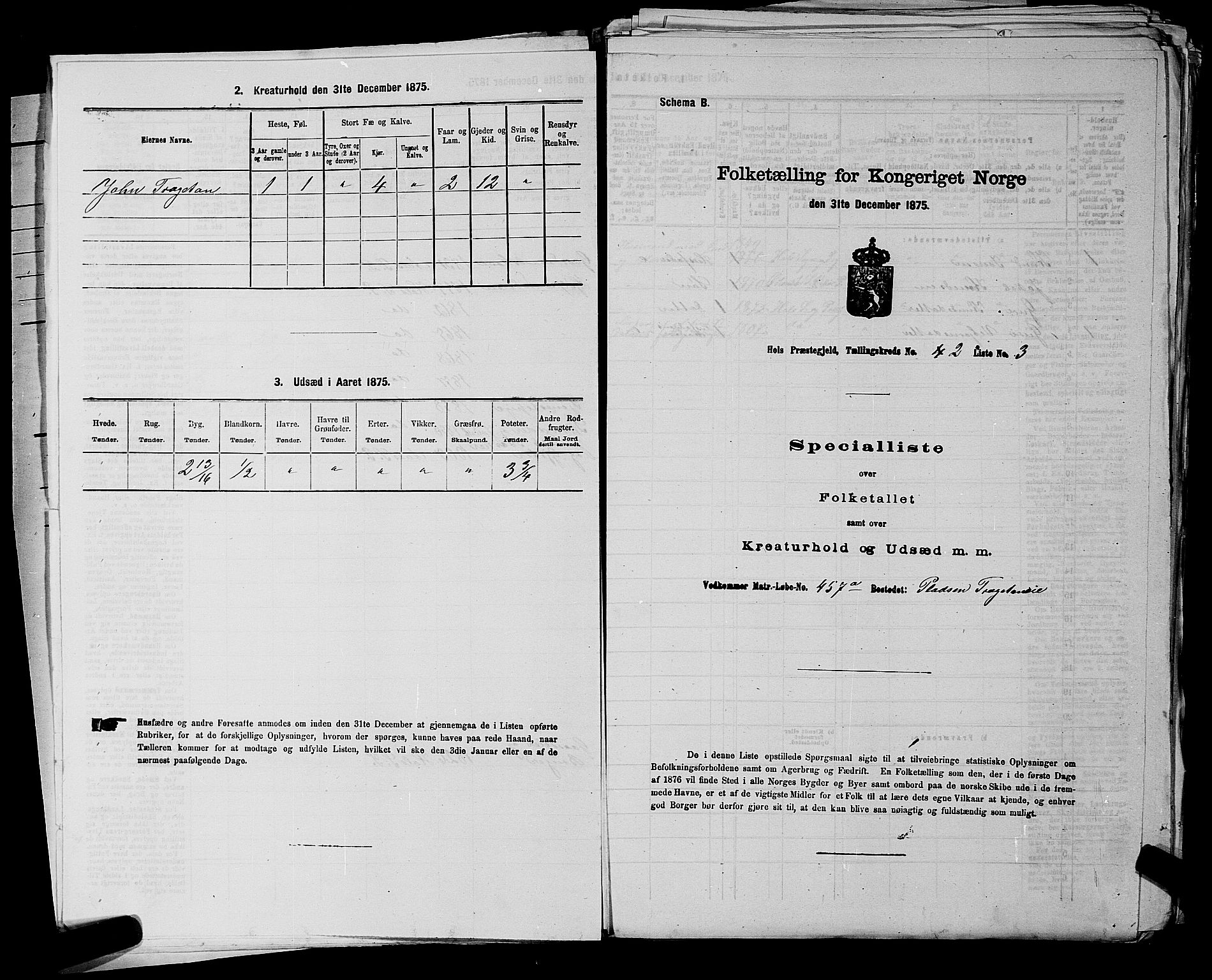 SAKO, Folketelling 1875 for 0620P Hol prestegjeld, 1875, s. 162