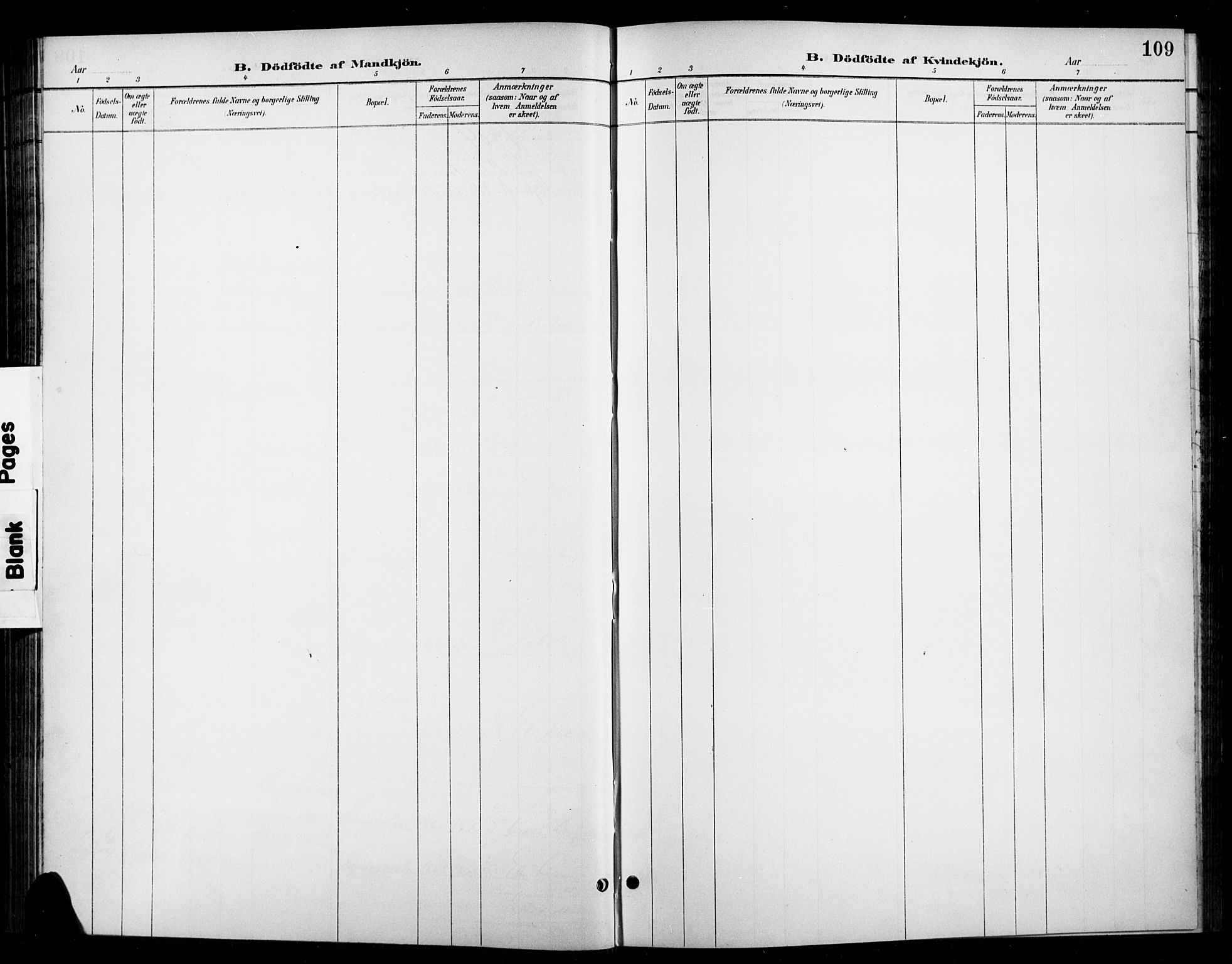 Ringebu prestekontor, SAH/PREST-082/H/Ha/Hab/L0009: Klokkerbok nr. 9, 1899-1921, s. 109