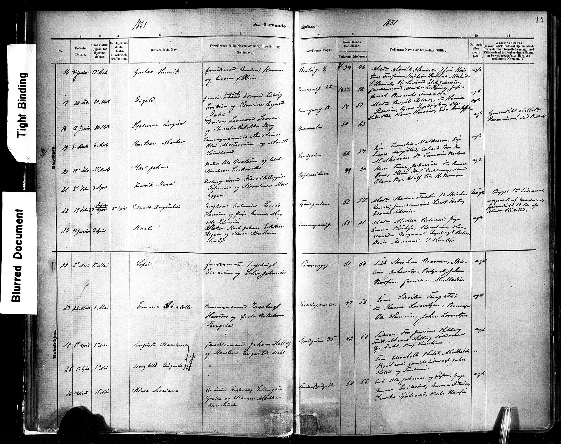 Ministerialprotokoller, klokkerbøker og fødselsregistre - Sør-Trøndelag, SAT/A-1456/602/L0119: Ministerialbok nr. 602A17, 1880-1901, s. 14