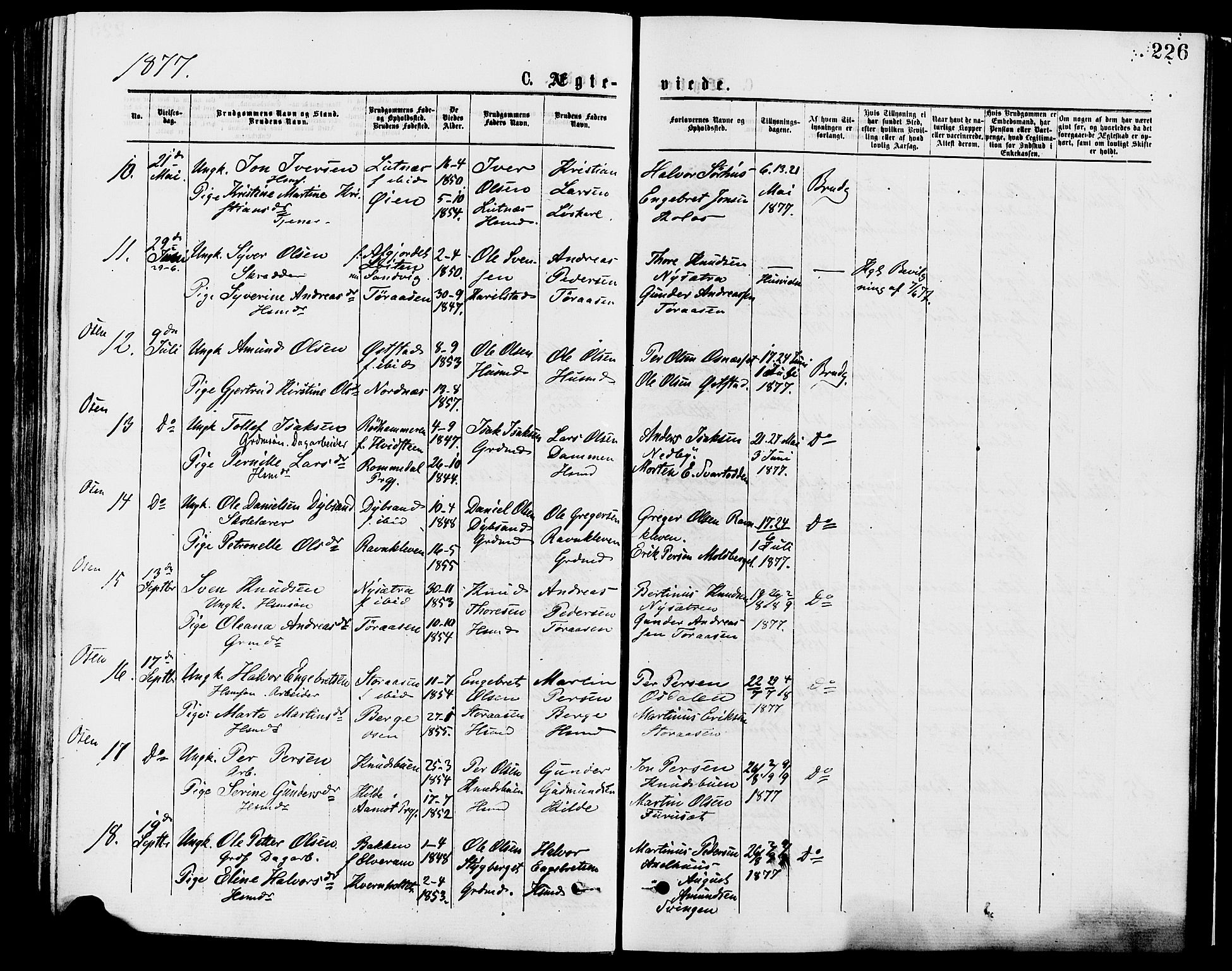 Trysil prestekontor, AV/SAH-PREST-046/H/Ha/Haa/L0007: Ministerialbok nr. 7, 1874-1880, s. 226