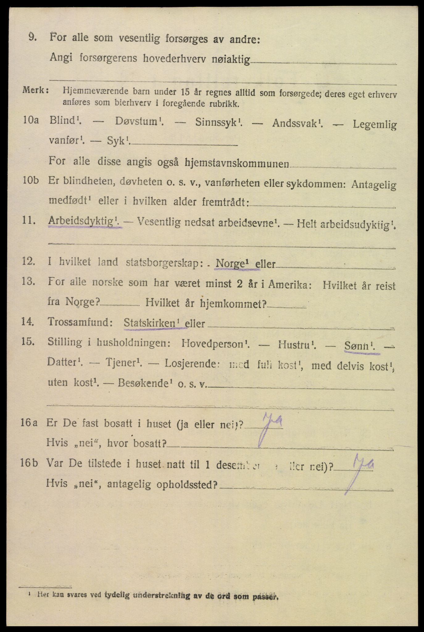 SAK, Folketelling 1920 for 0936 Hornnes herred, 1920, s. 1116
