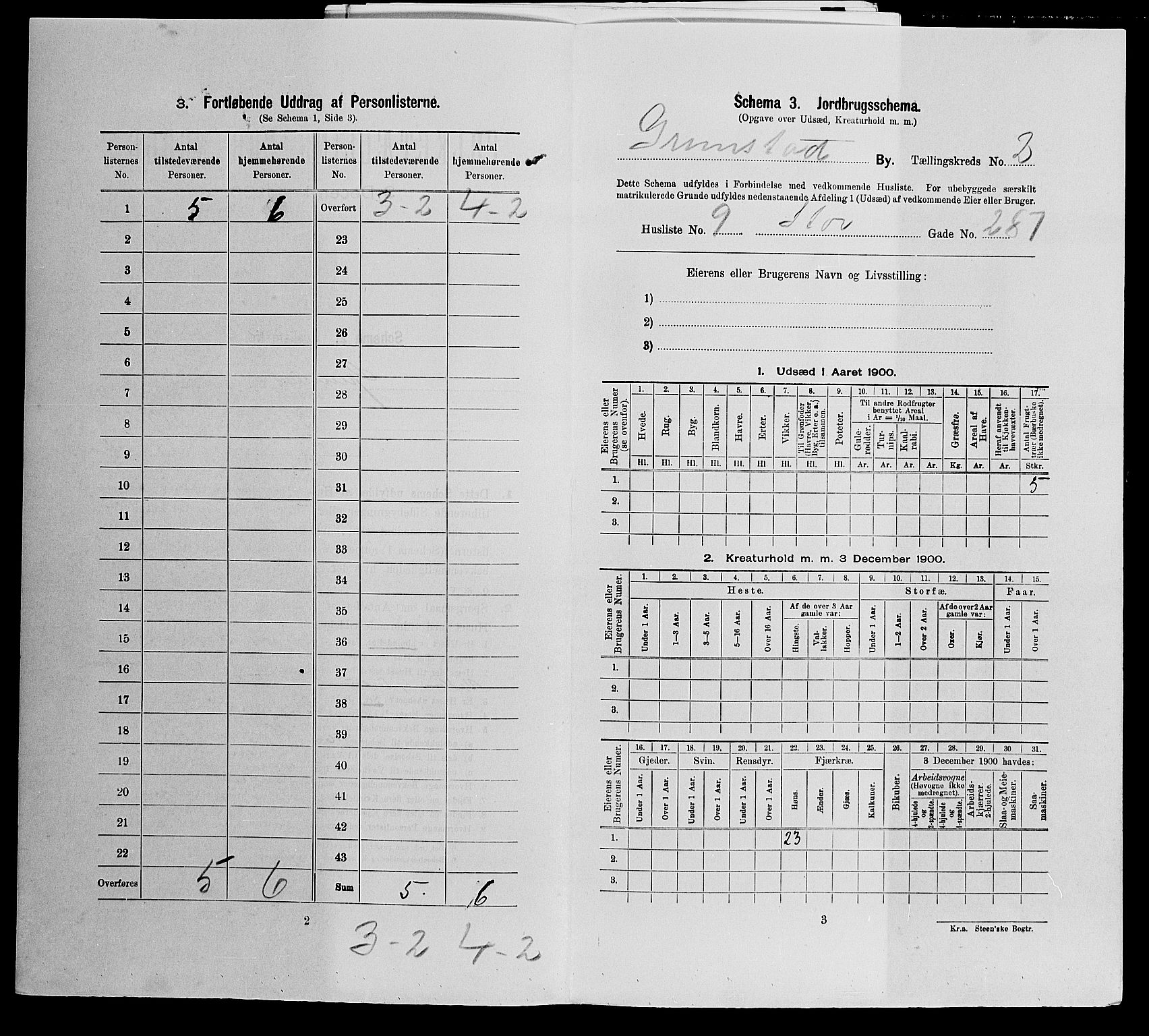 SAK, Folketelling 1900 for 0904 Grimstad kjøpstad, 1900, s. 703