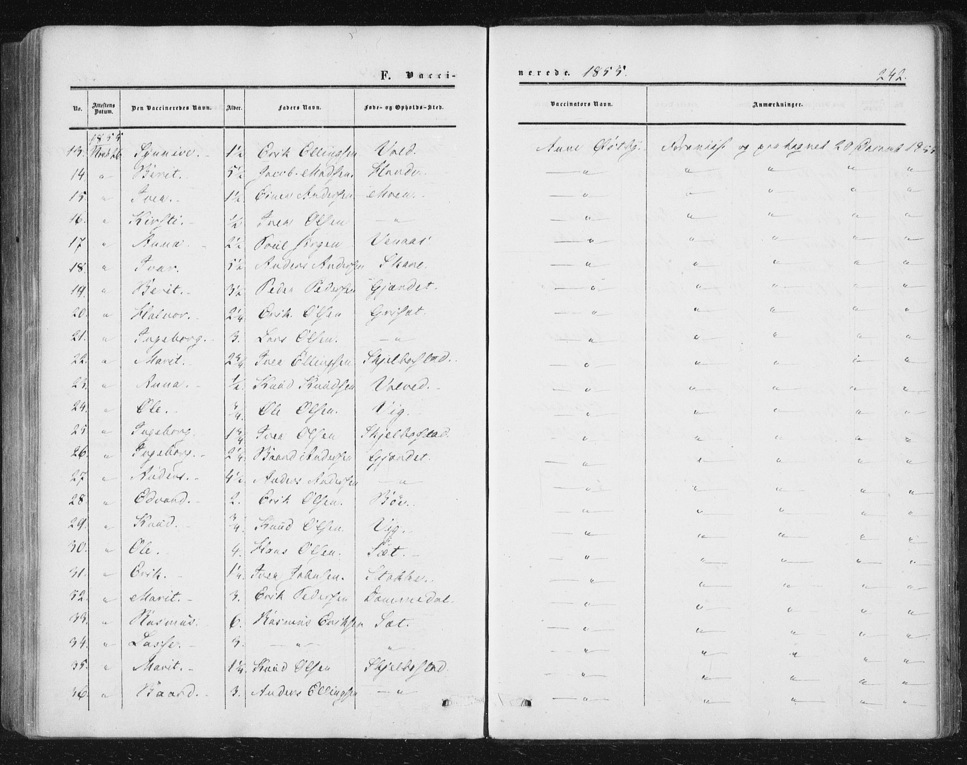 Ministerialprotokoller, klokkerbøker og fødselsregistre - Møre og Romsdal, AV/SAT-A-1454/543/L0562: Ministerialbok nr. 543A02, 1854-1884, s. 242