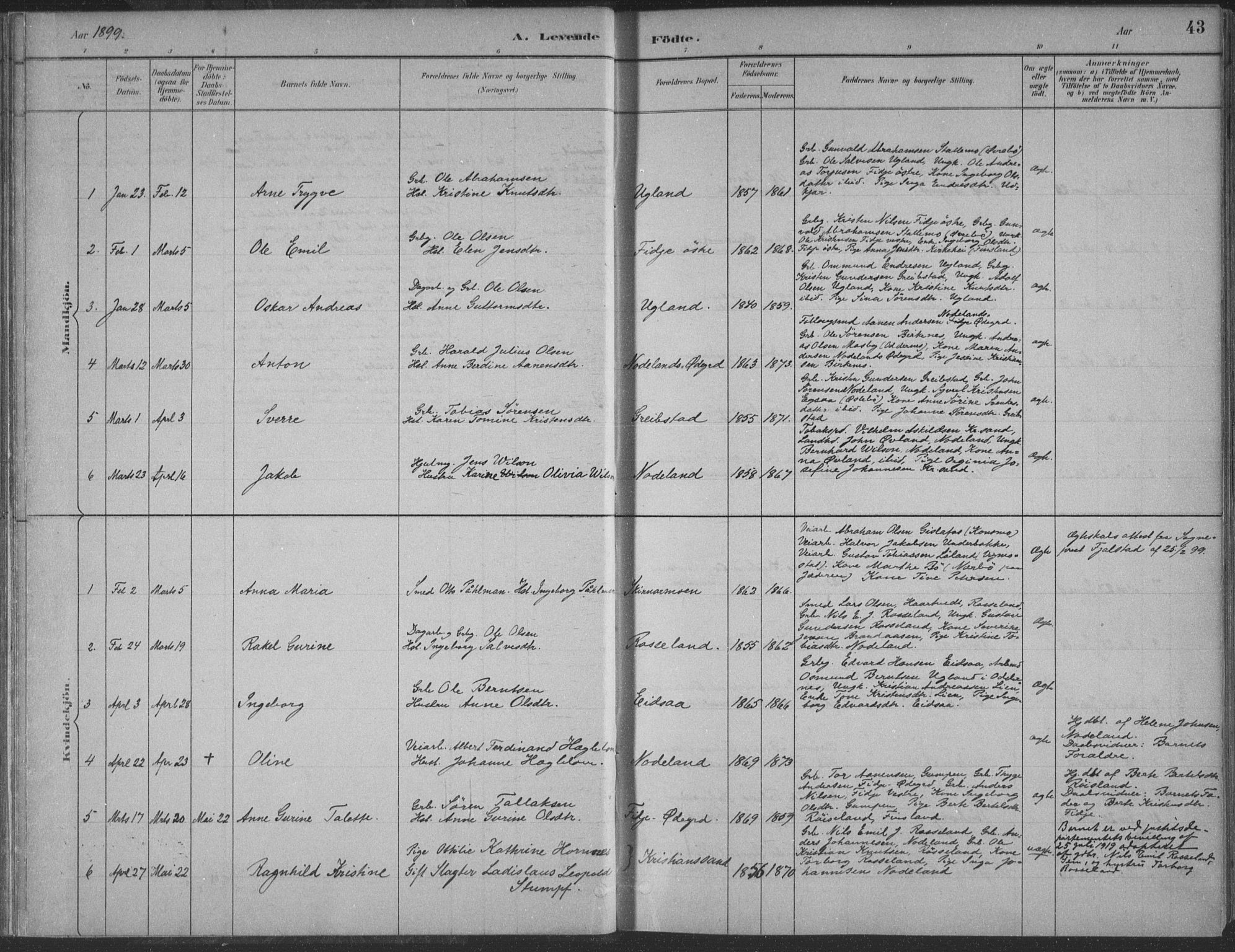 Søgne sokneprestkontor, AV/SAK-1111-0037/F/Fa/Faa/L0003: Ministerialbok nr. A 3, 1883-1910, s. 43