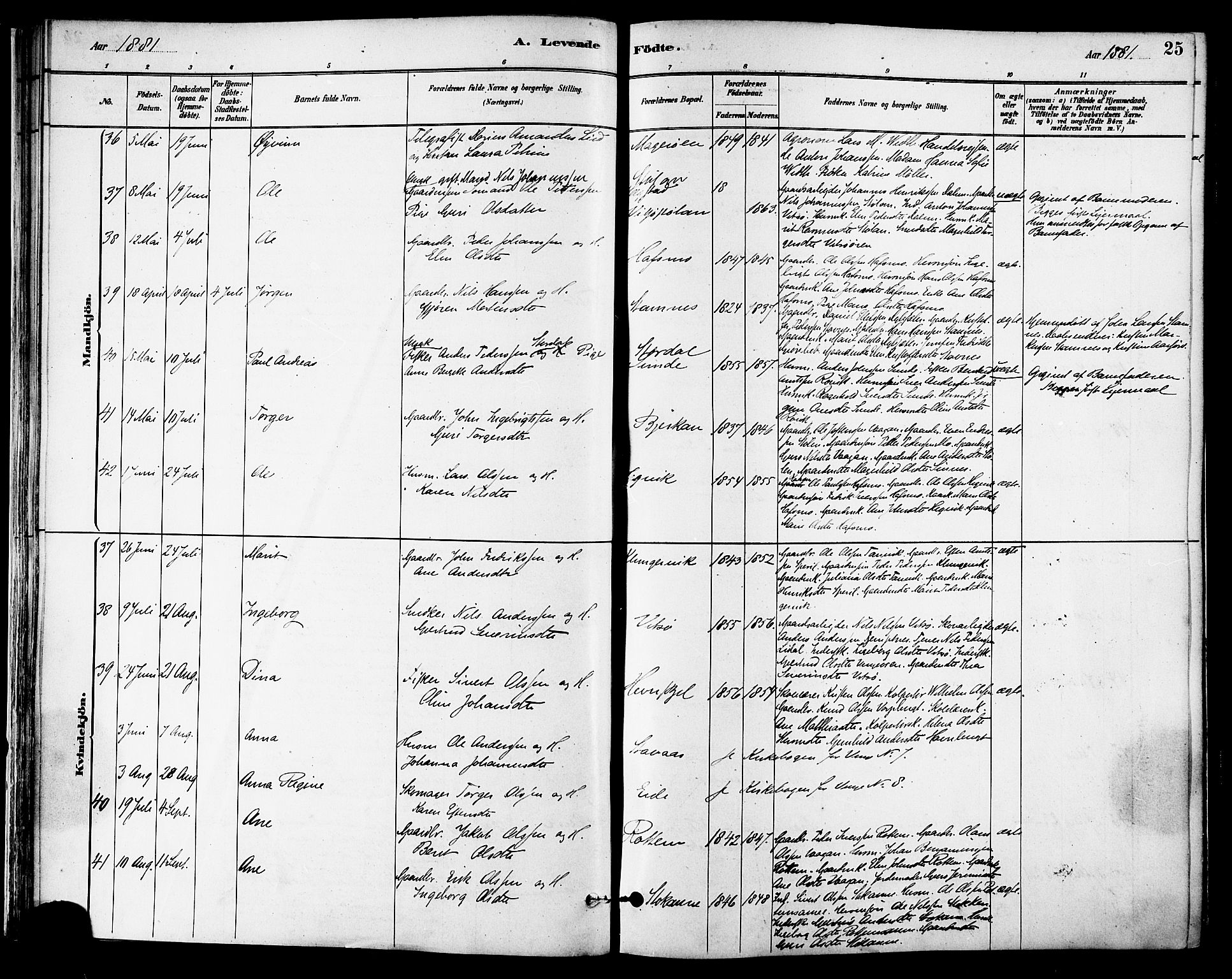 Ministerialprotokoller, klokkerbøker og fødselsregistre - Sør-Trøndelag, AV/SAT-A-1456/630/L0496: Ministerialbok nr. 630A09, 1879-1895, s. 25