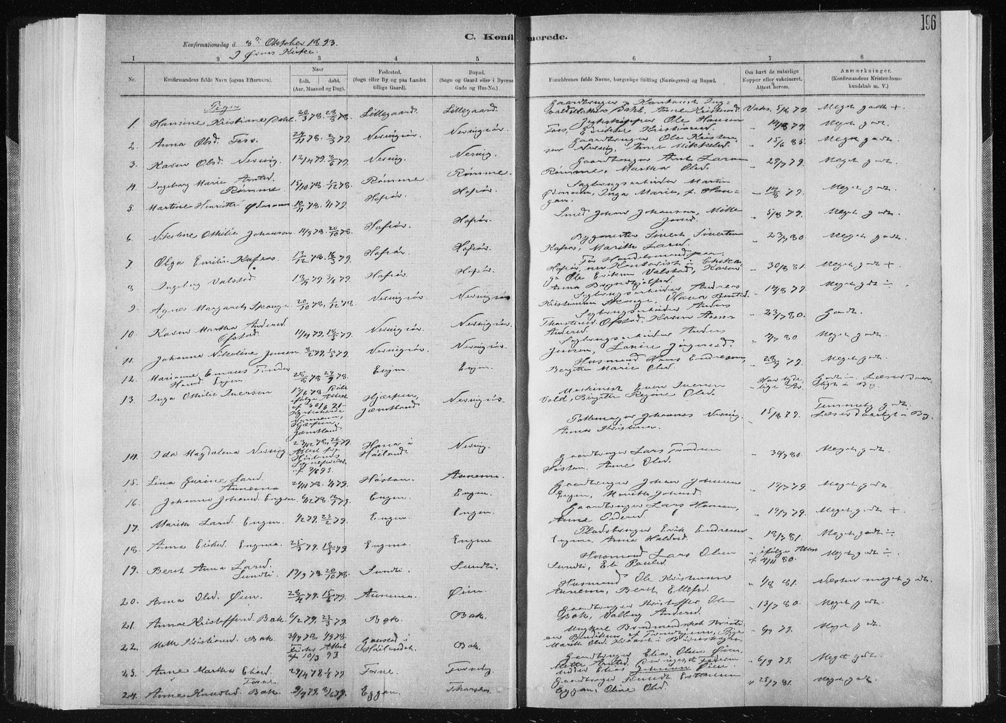Ministerialprotokoller, klokkerbøker og fødselsregistre - Sør-Trøndelag, SAT/A-1456/668/L0818: Klokkerbok nr. 668C07, 1885-1898, s. 196