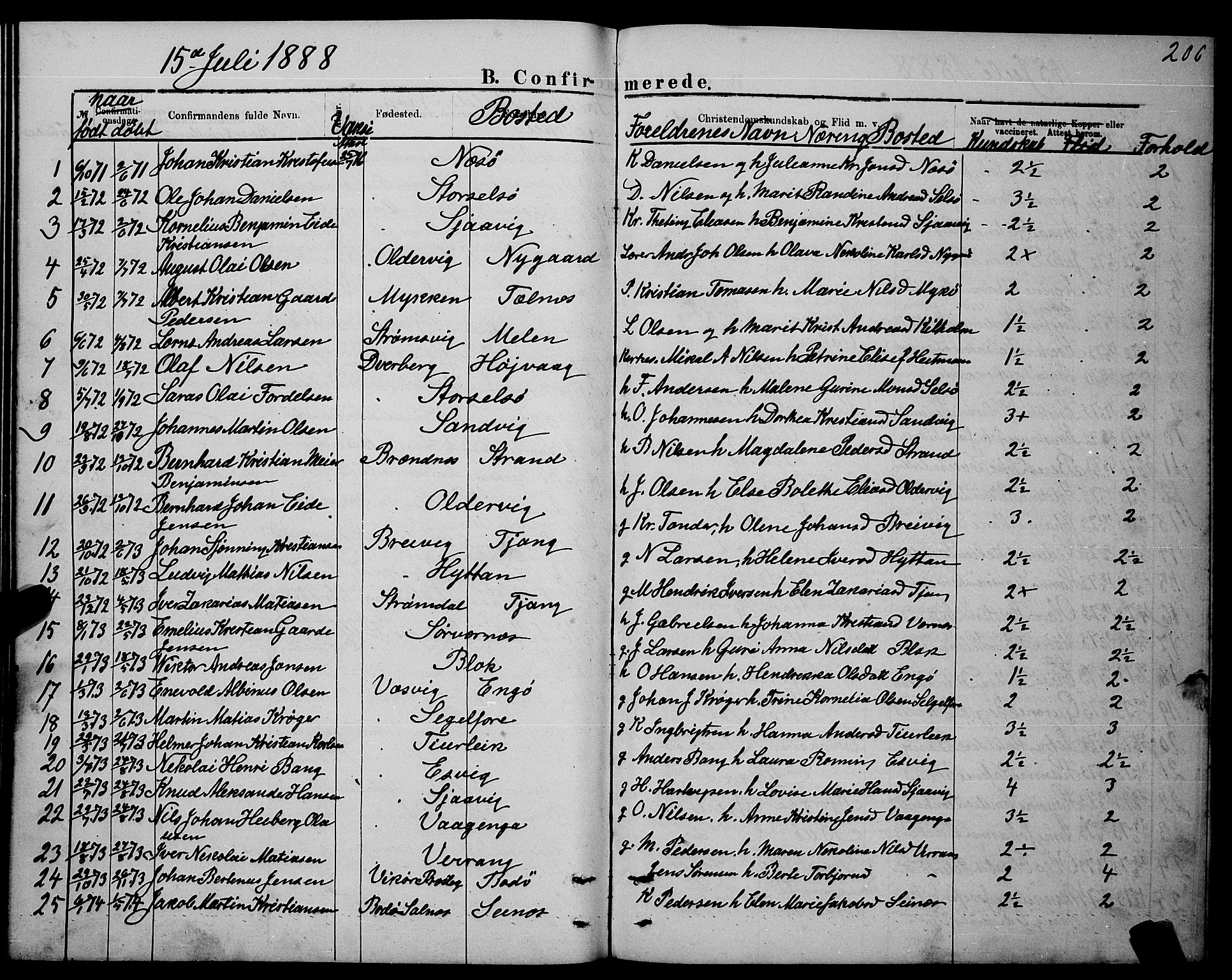 Ministerialprotokoller, klokkerbøker og fødselsregistre - Nordland, AV/SAT-A-1459/841/L0620: Klokkerbok nr. 841C04, 1877-1896, s. 206