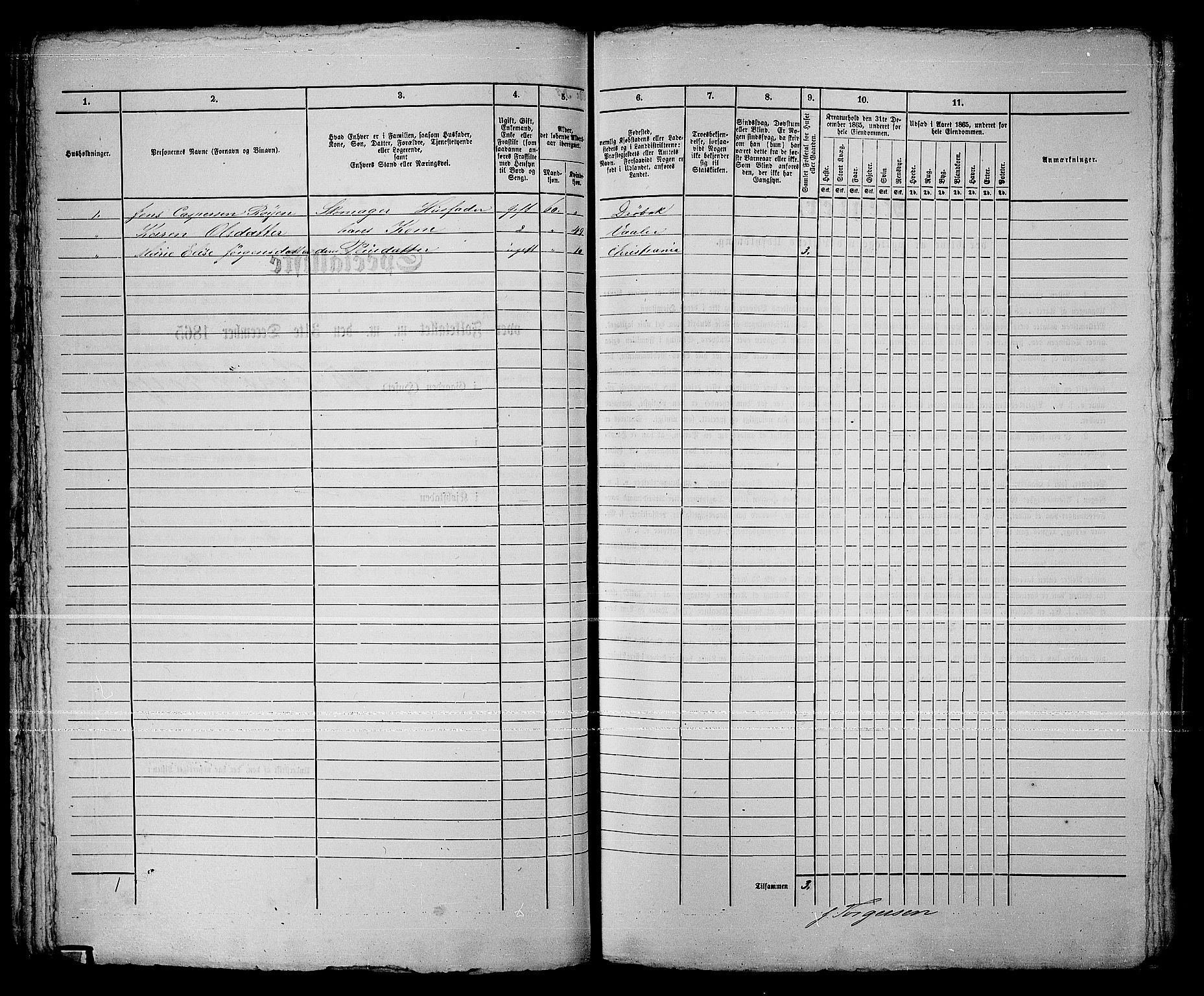 RA, Folketelling 1865 for 0203B Drøbak prestegjeld, Drøbak kjøpstad, 1865, s. 163