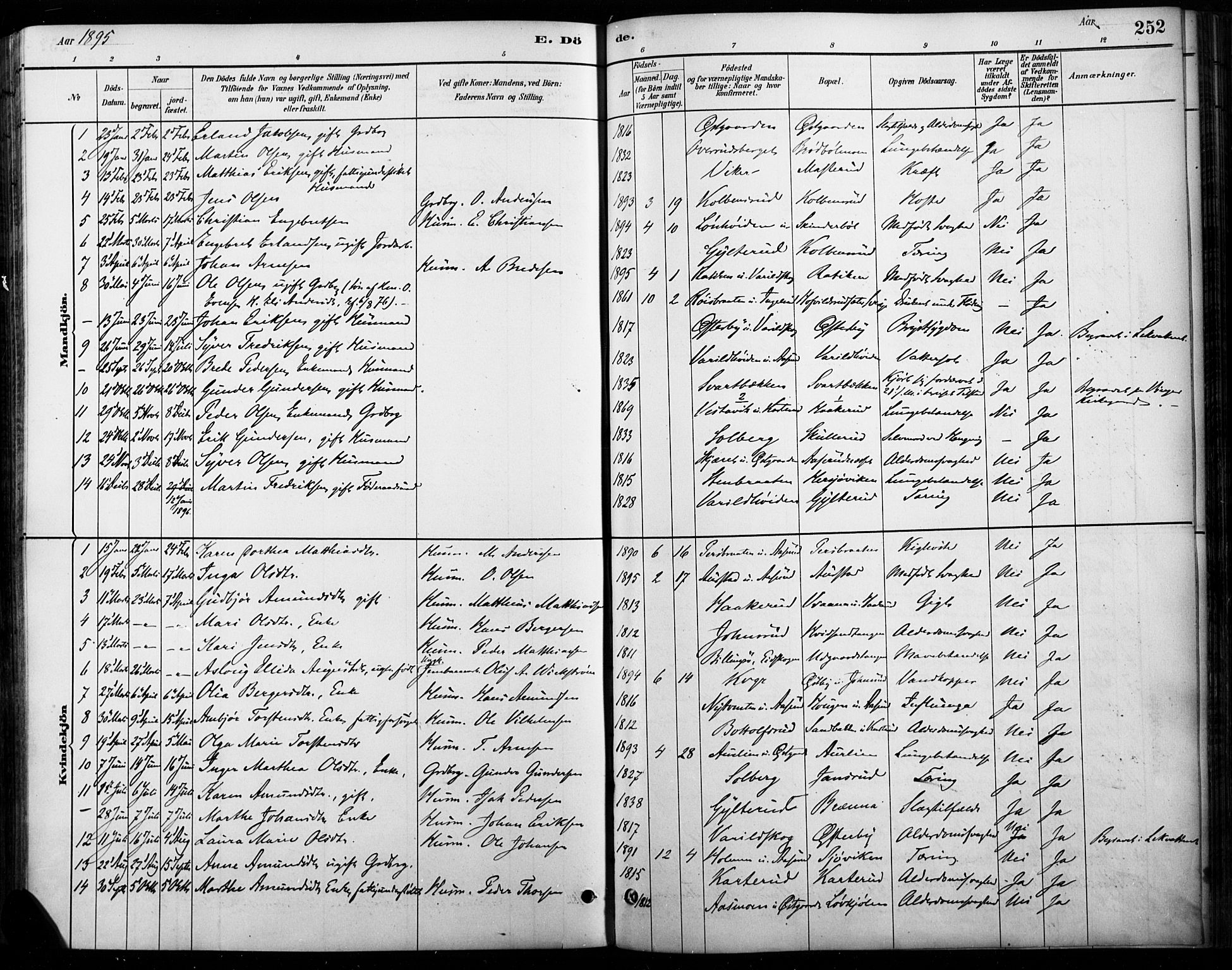 Vinger prestekontor, AV/SAH-PREST-024/H/Ha/Haa/L0015: Ministerialbok nr. 15, 1881-1900, s. 252
