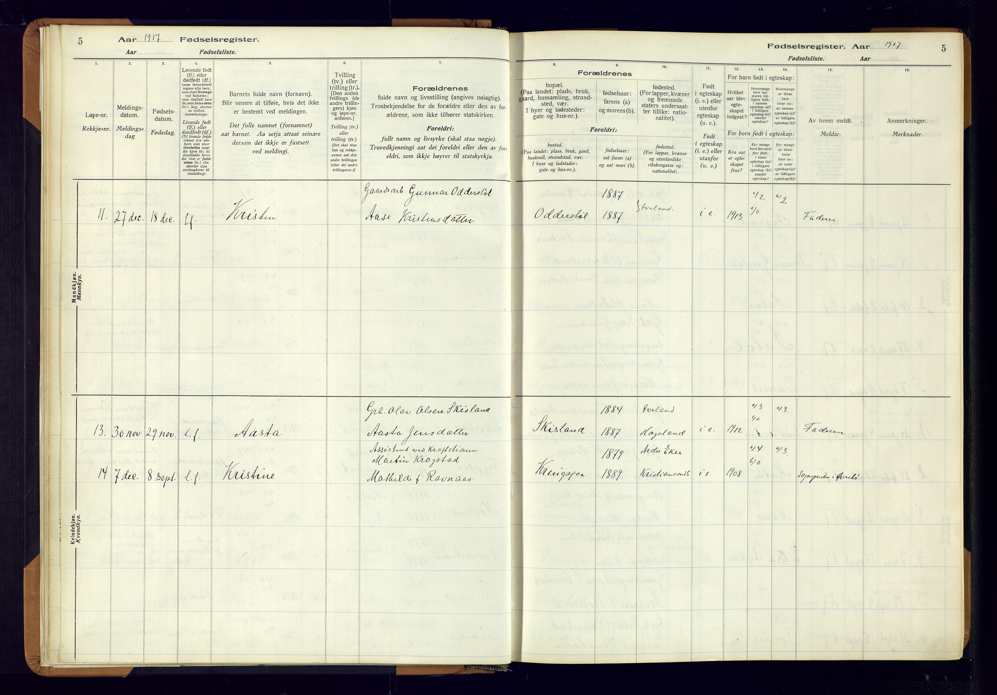 Evje sokneprestkontor, AV/SAK-1111-0008/J/Jc/L0003: Fødselsregister nr. II.4.3, 1916-1982, s. 5