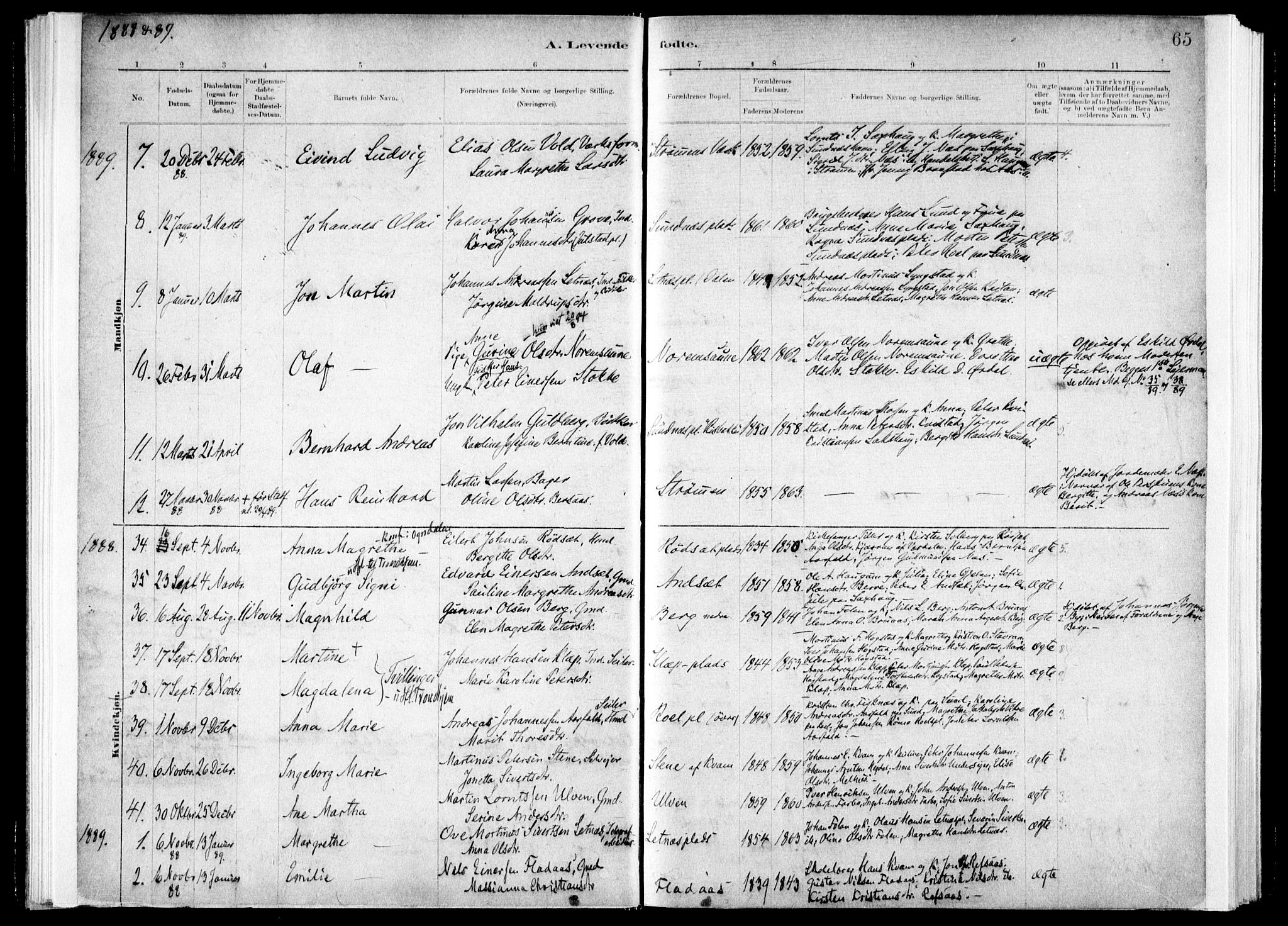 Ministerialprotokoller, klokkerbøker og fødselsregistre - Nord-Trøndelag, AV/SAT-A-1458/730/L0285: Ministerialbok nr. 730A10, 1879-1914, s. 65