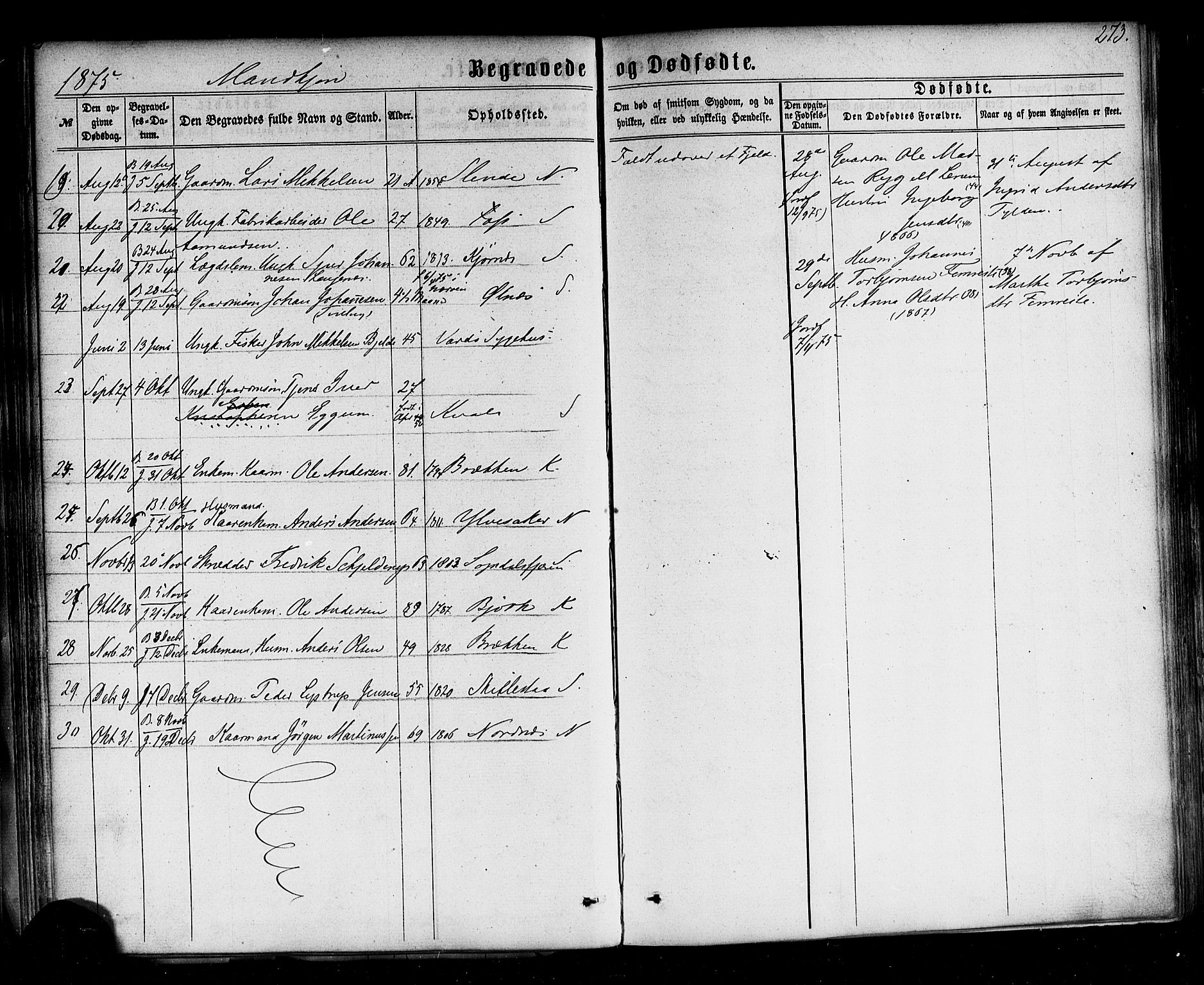 Sogndal sokneprestembete, AV/SAB-A-81301/H/Haa/Haaa/L0013: Ministerialbok nr. A 13, 1859-1877, s. 273