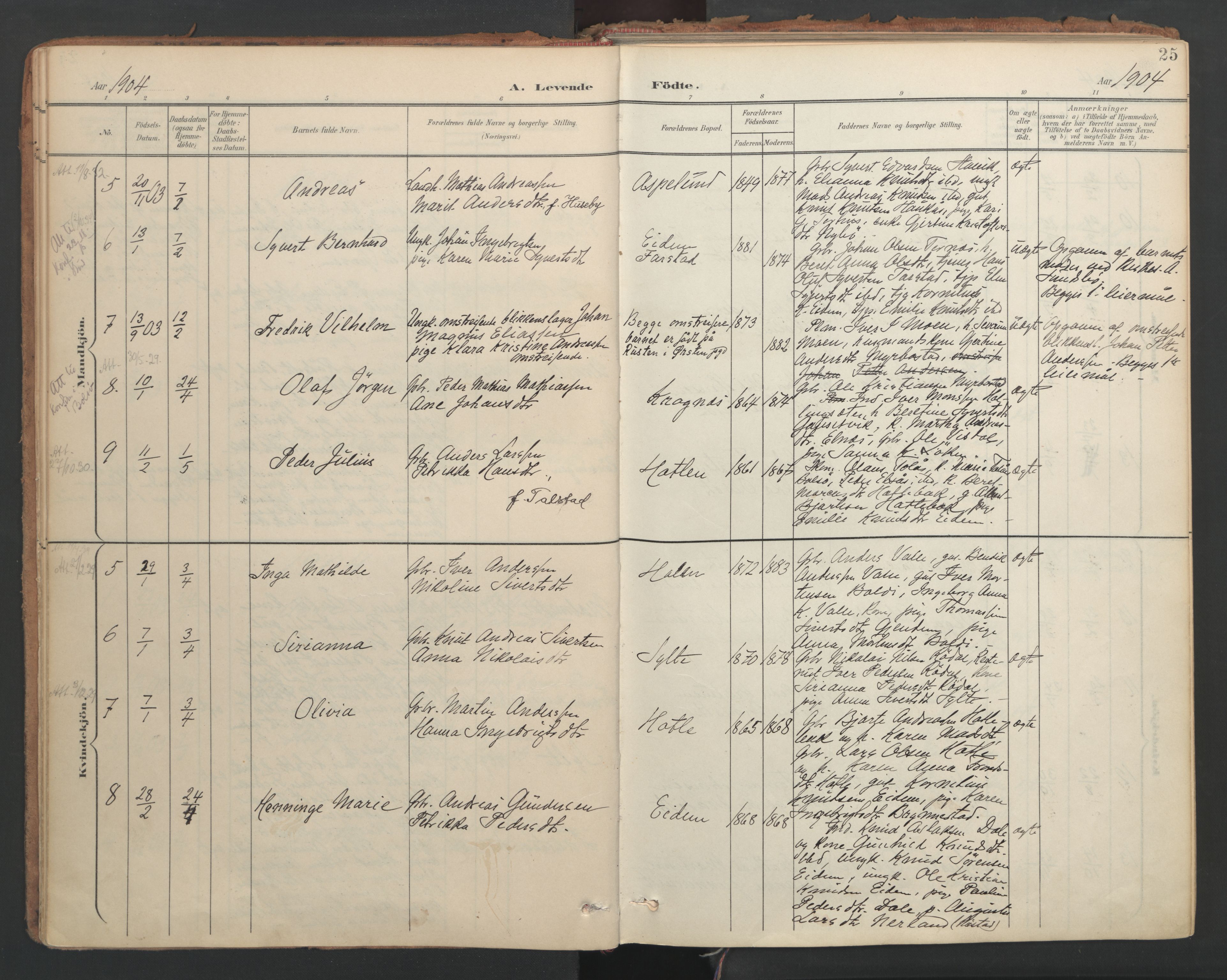 Ministerialprotokoller, klokkerbøker og fødselsregistre - Møre og Romsdal, AV/SAT-A-1454/564/L0741: Ministerialbok nr. 564A02, 1900-1976, s. 25