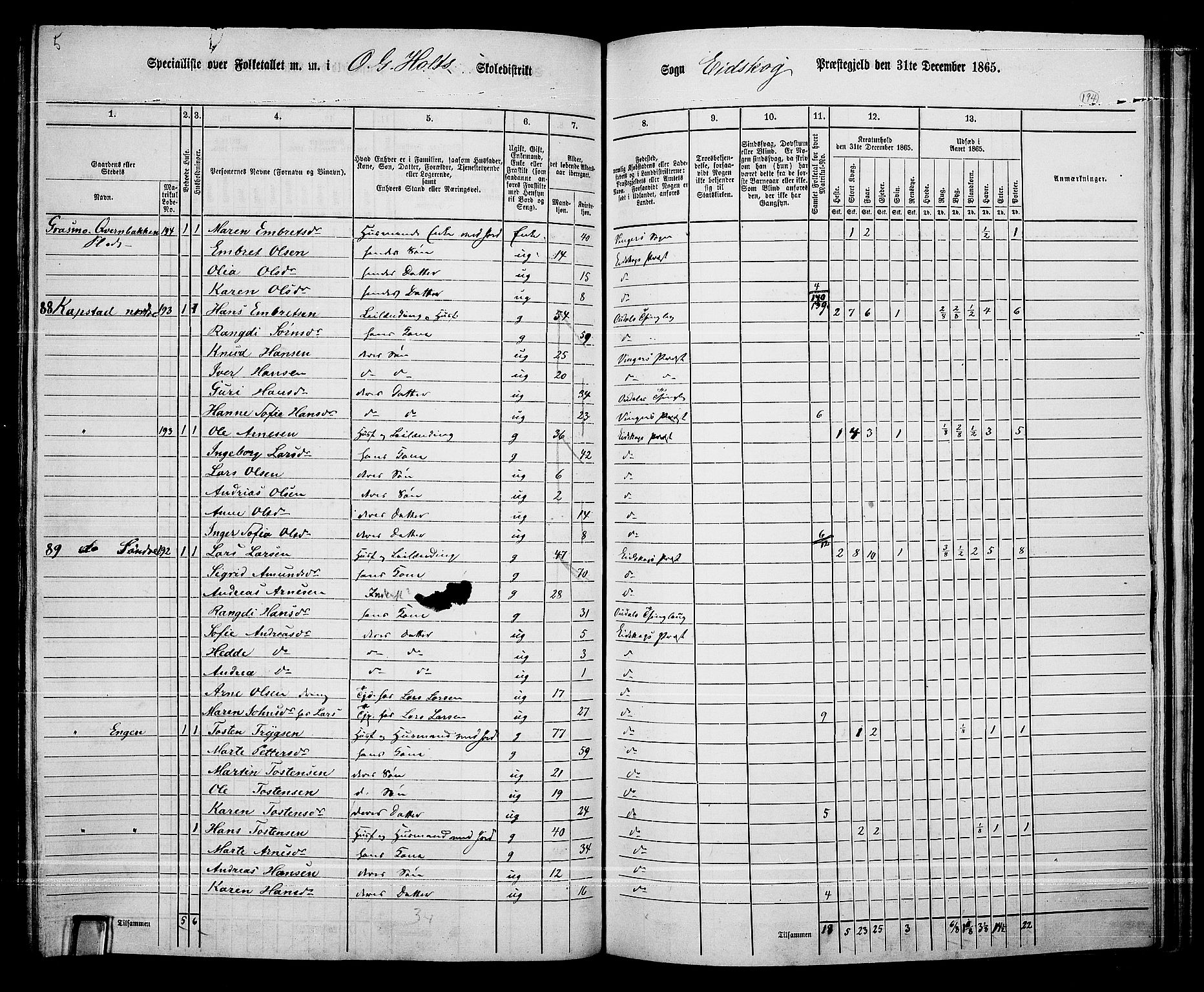 RA, Folketelling 1865 for 0420P Eidskog prestegjeld, 1865, s. 172