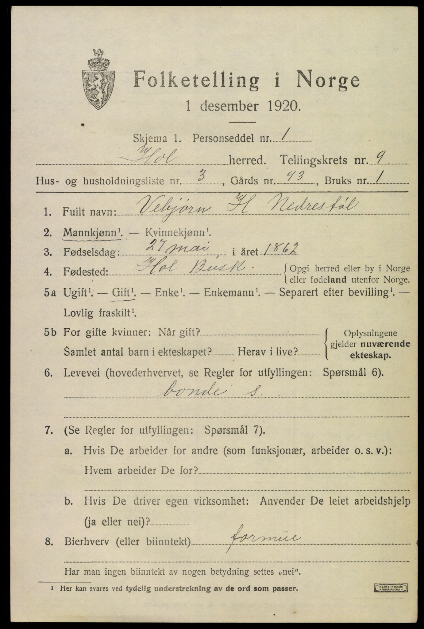 SAKO, Folketelling 1920 for 0620 Hol herred, 1920, s. 4941