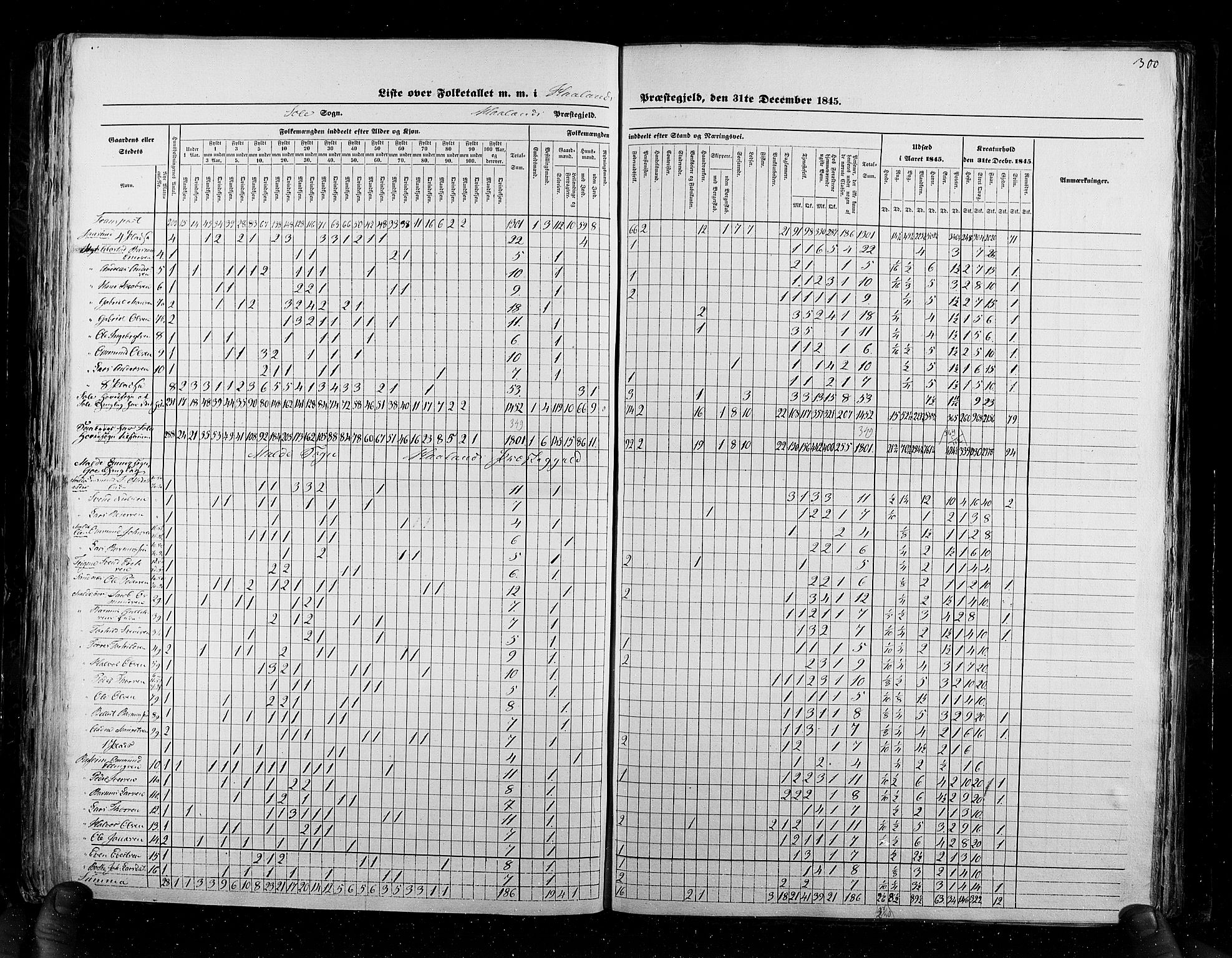 RA, Folketellingen 1845, bind 6: Lister og Mandal amt og Stavanger amt, 1845, s. 300