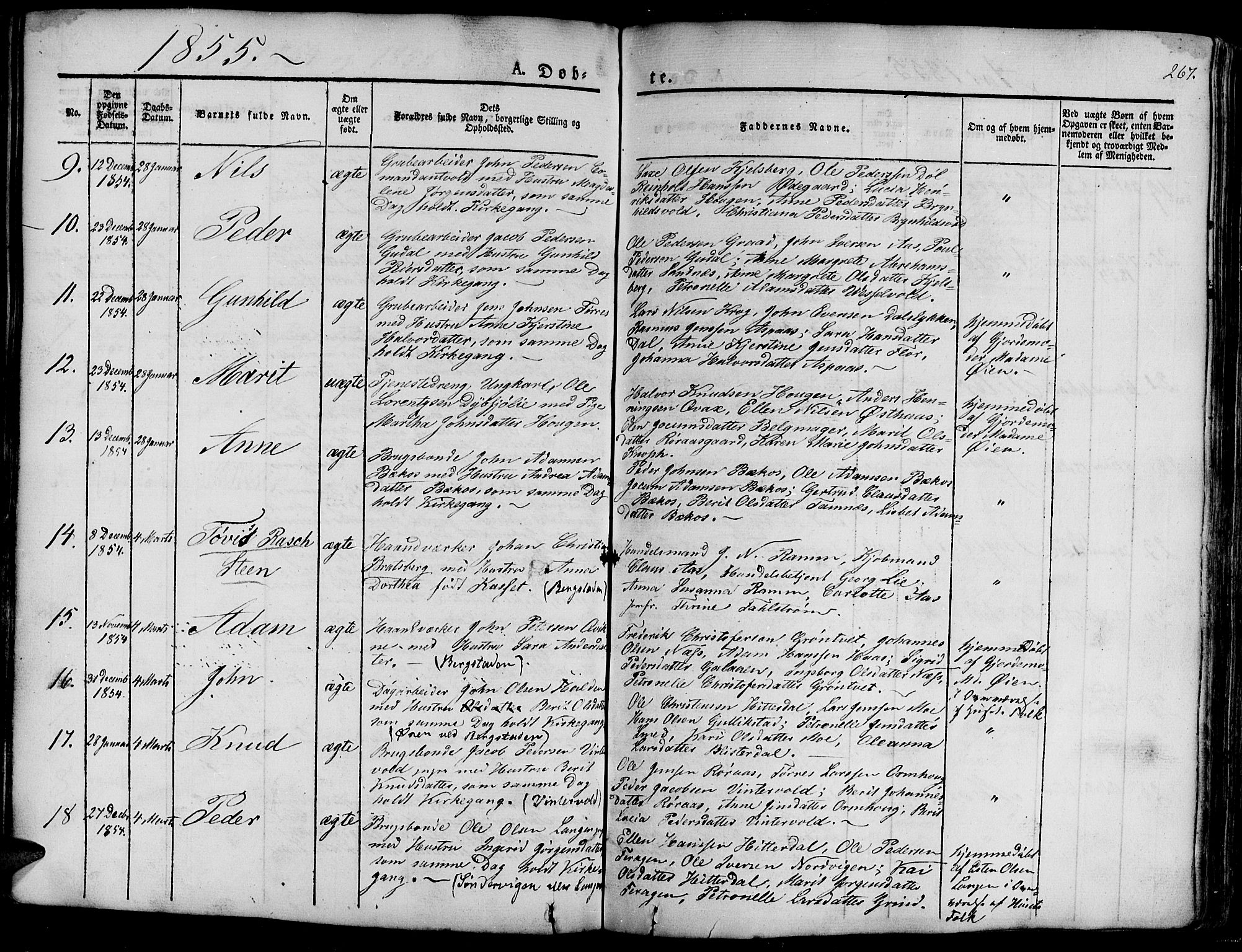 Ministerialprotokoller, klokkerbøker og fødselsregistre - Sør-Trøndelag, SAT/A-1456/681/L0938: Klokkerbok nr. 681C02, 1829-1879, s. 267