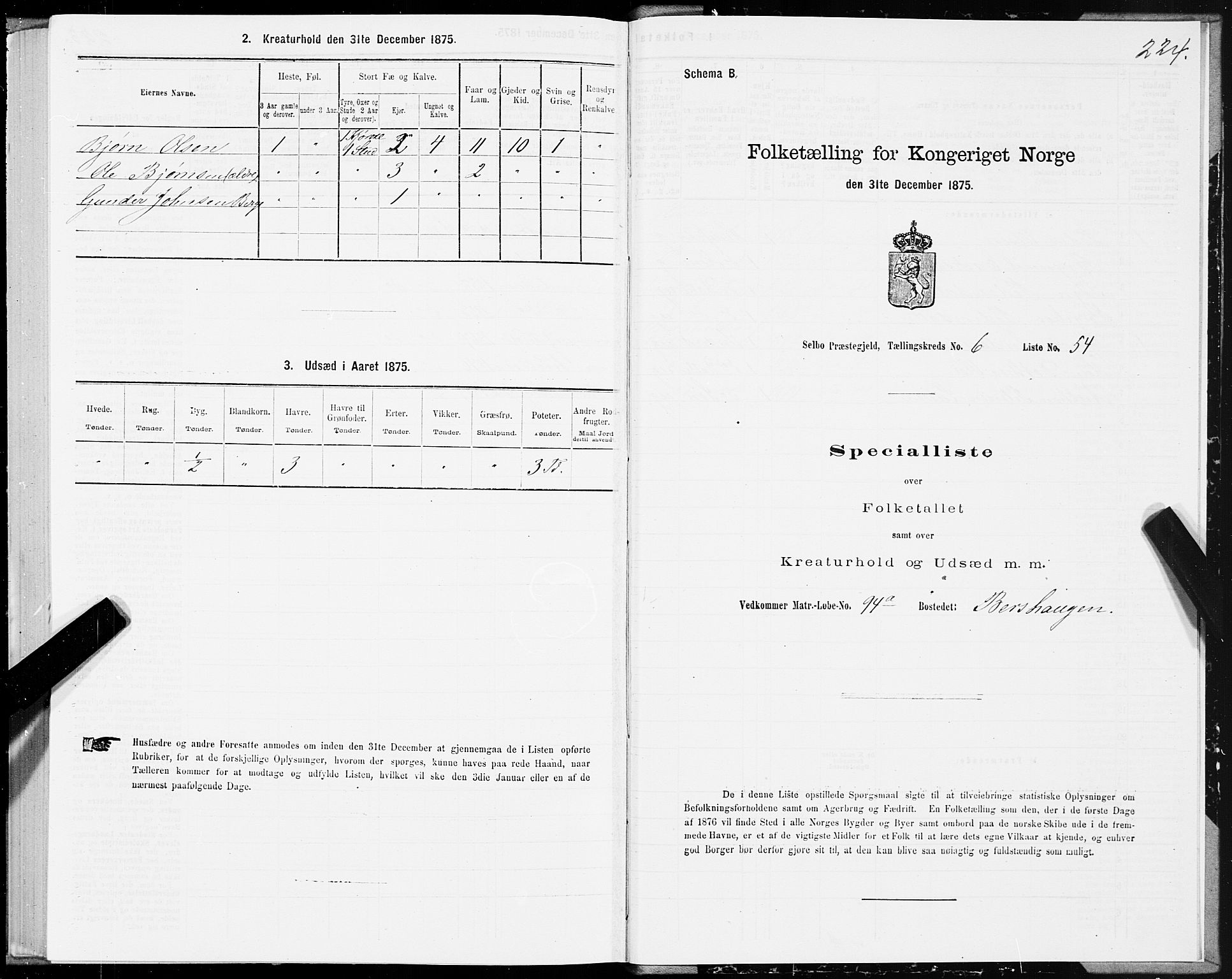 SAT, Folketelling 1875 for 1664P Selbu prestegjeld, 1875, s. 3224