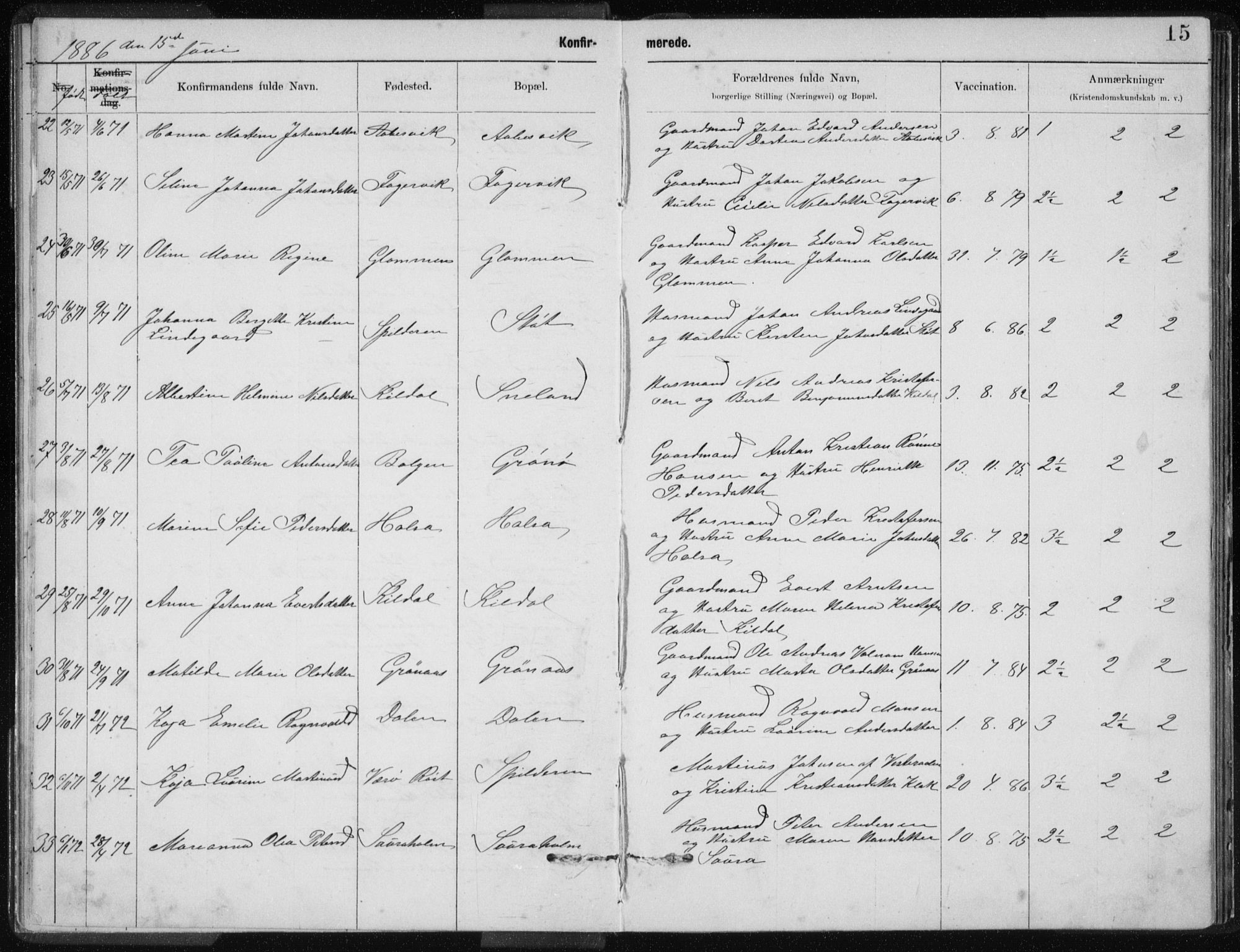 Ministerialprotokoller, klokkerbøker og fødselsregistre - Nordland, AV/SAT-A-1459/843/L0637: Klokkerbok nr. 843C06, 1884-1908, s. 15