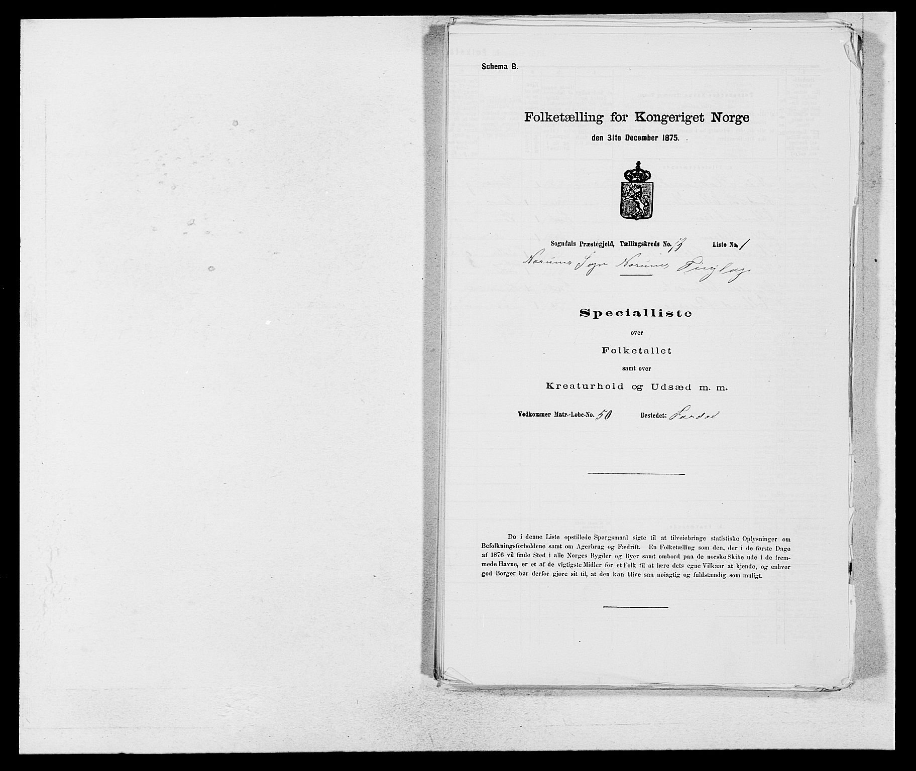 SAB, Folketelling 1875 for 1420P Sogndal prestegjeld, 1875, s. 1176