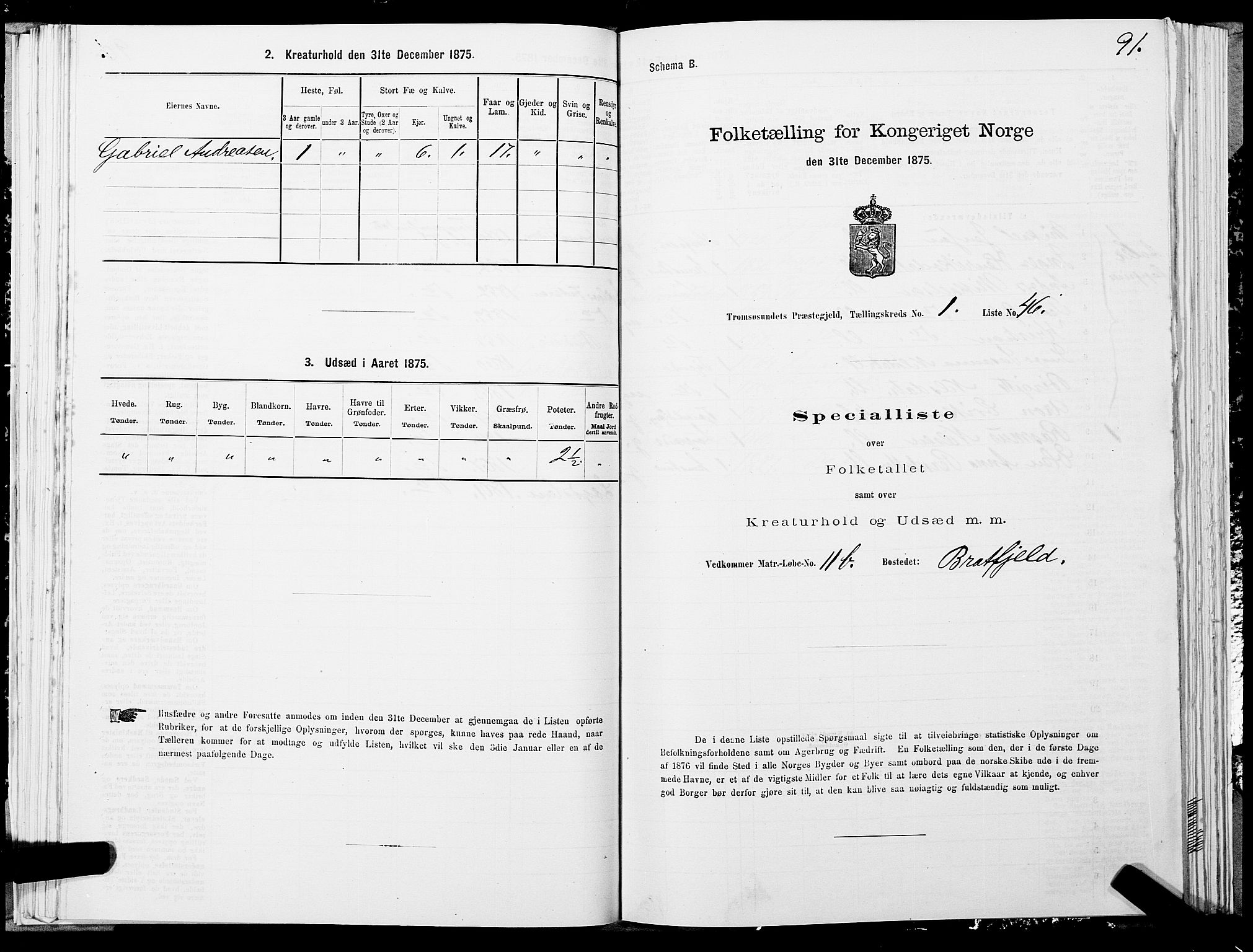 SATØ, Folketelling 1875 for 1934P Tromsøysund prestegjeld, 1875, s. 1091