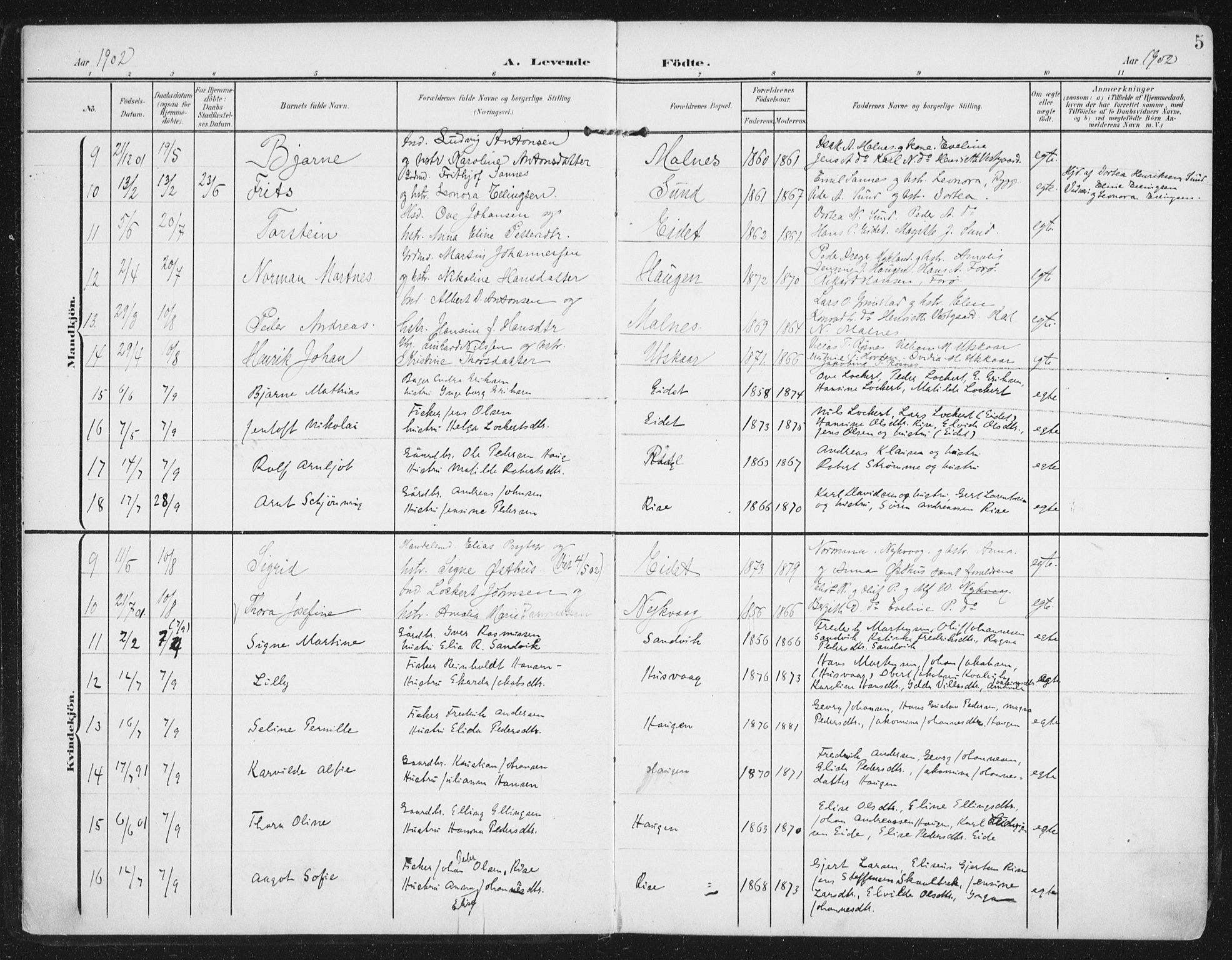 Ministerialprotokoller, klokkerbøker og fødselsregistre - Nordland, AV/SAT-A-1459/892/L1321: Ministerialbok nr. 892A02, 1902-1918, s. 5